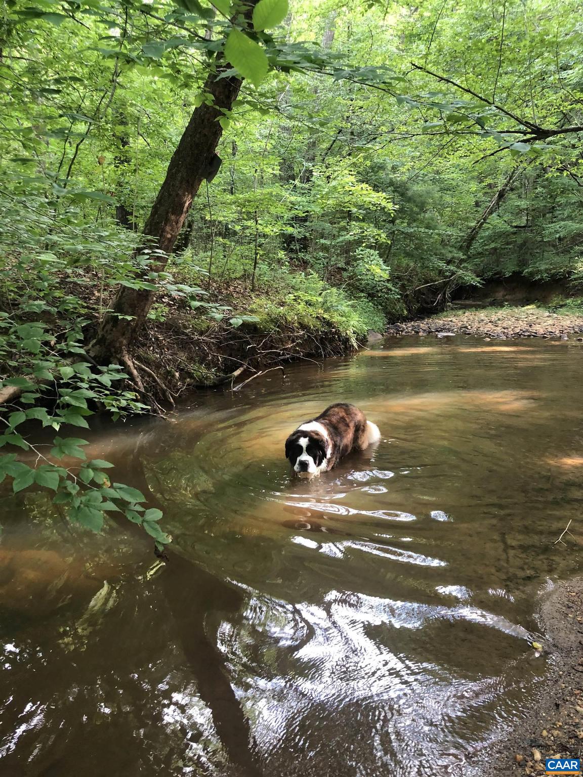 AMHERST PLANTATION - Residential