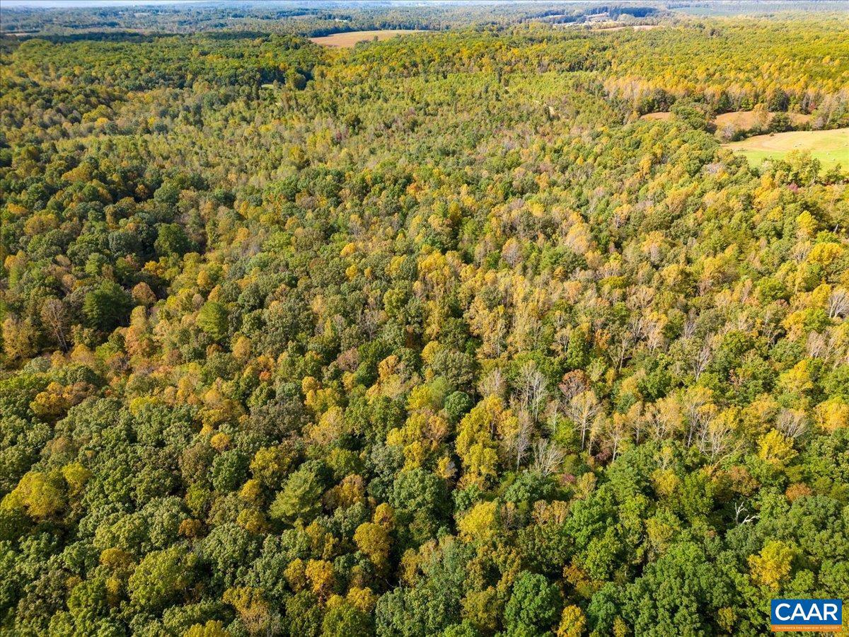 AMHERST PLANTATION - Residential