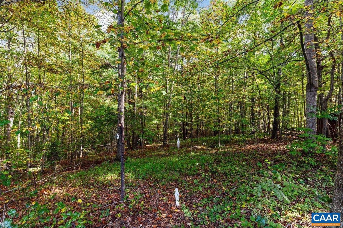 AMHERST PLANTATION - Residential