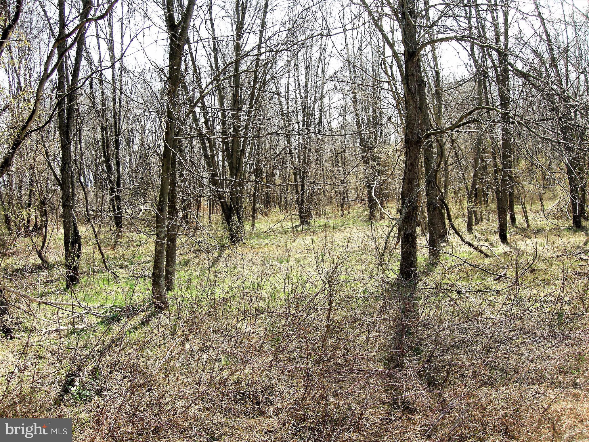 CLAYMONT CHASE - Land