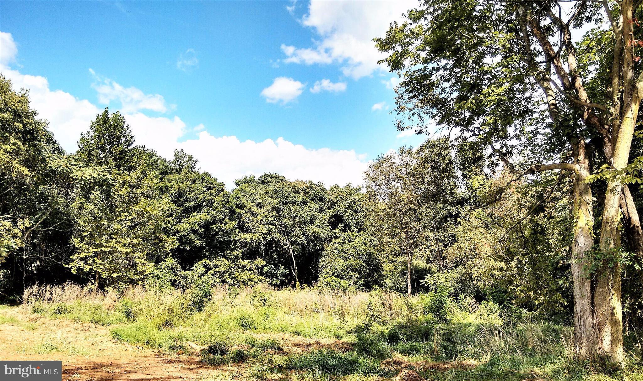 CLAYMONT CHASE - Land