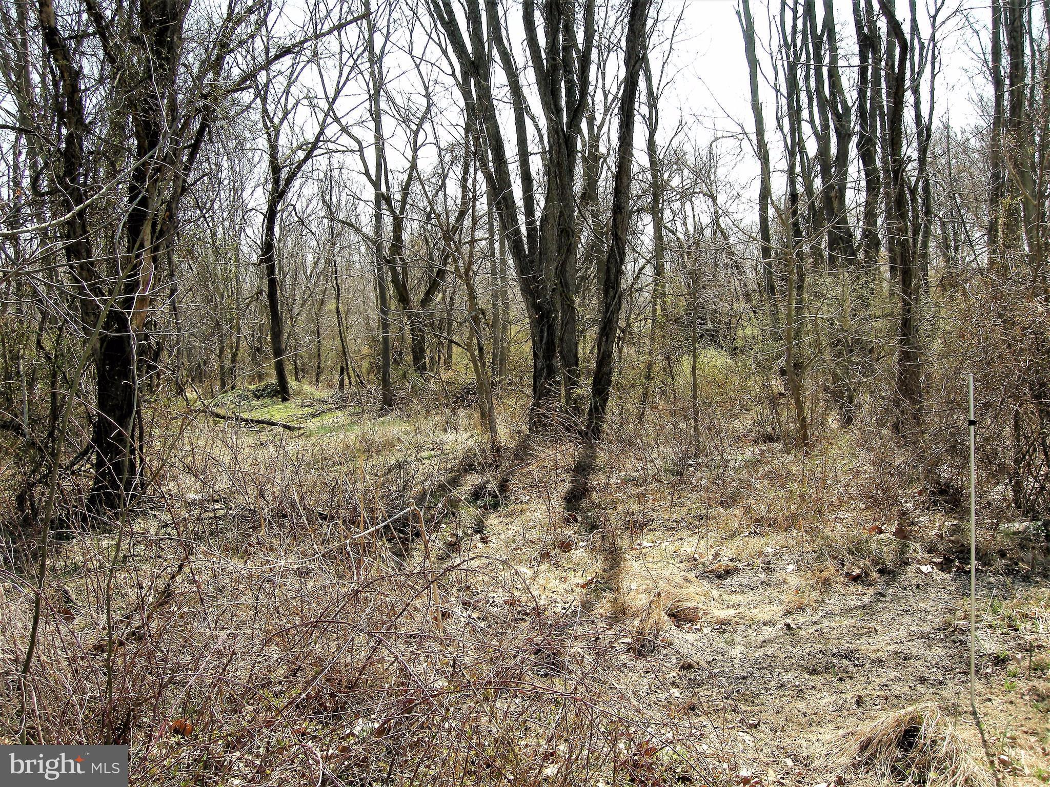 CLAYMONT CHASE - Land