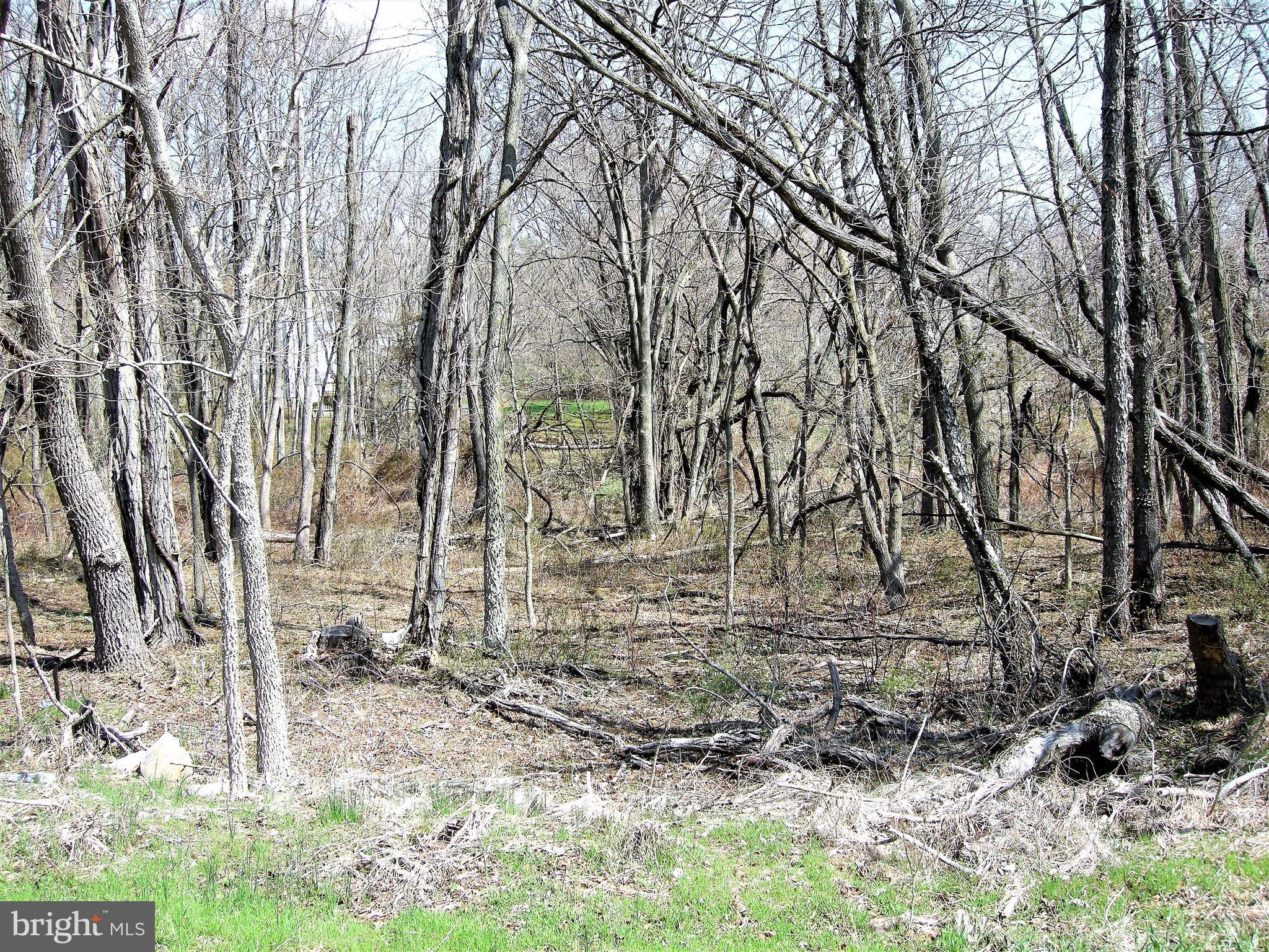 CLAYMONT CHASE - Land