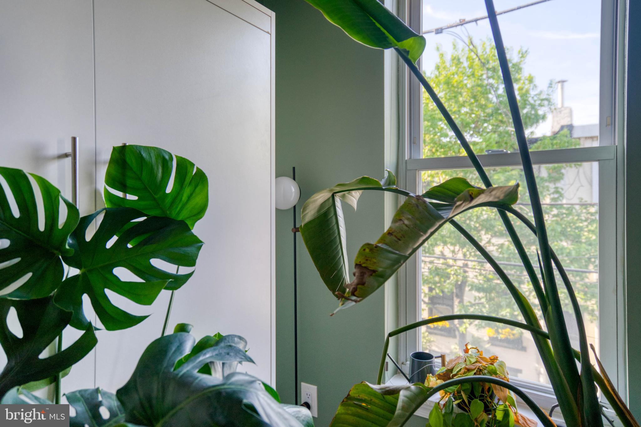 GRADUATE HOSPITAL - Residential