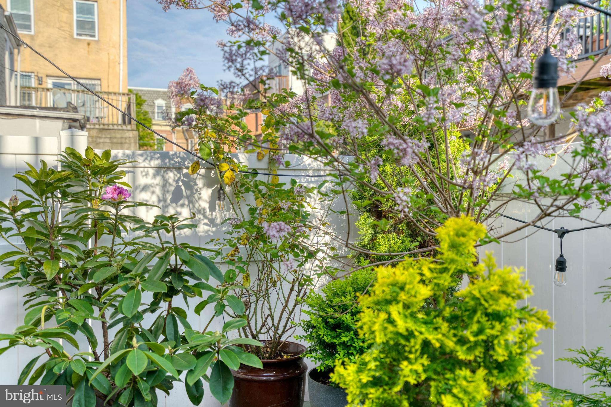 GRADUATE HOSPITAL - Residential