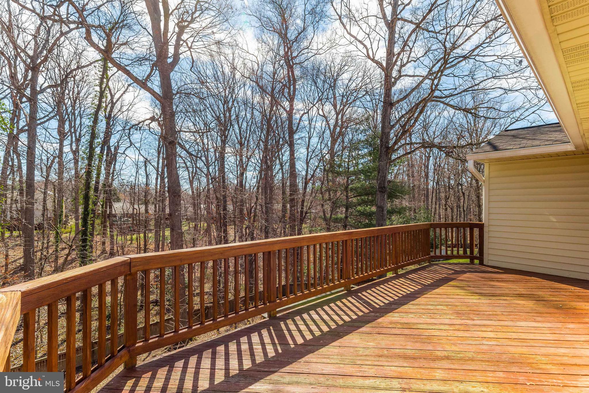 CARDINAL FOREST - Residential