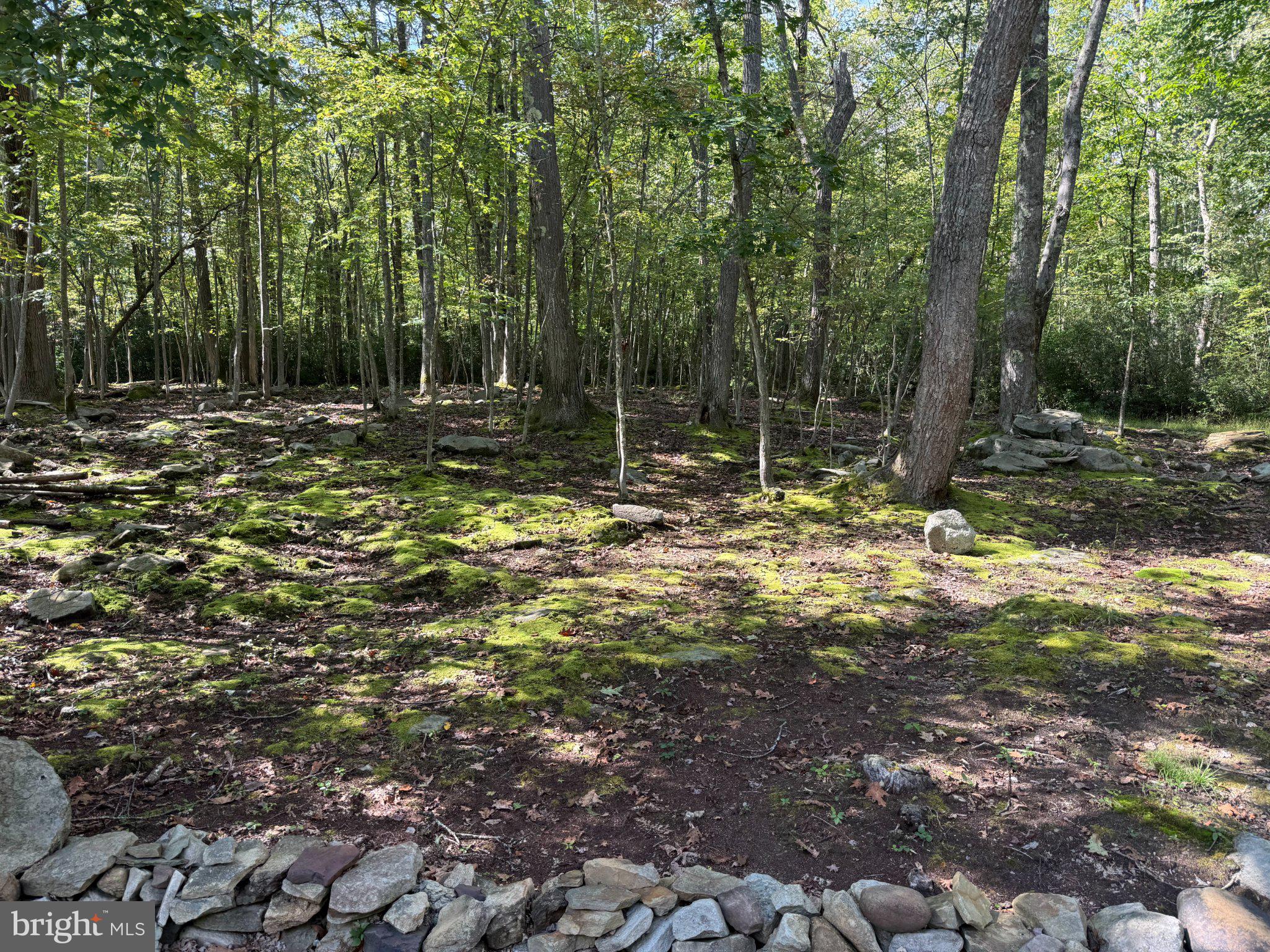 793 FOX TAIL ROAD