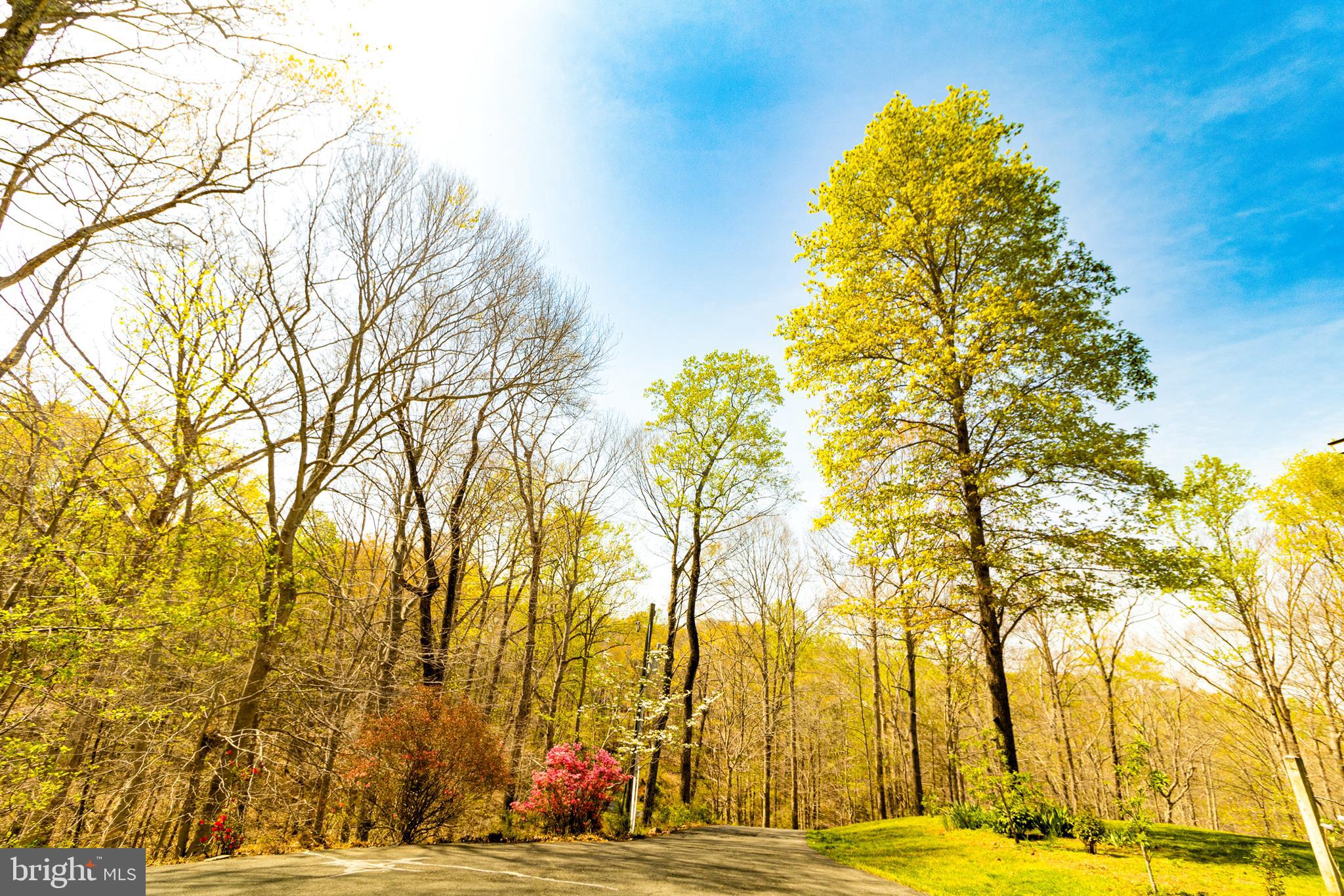 WOODBINE FOREST - Residential Lease