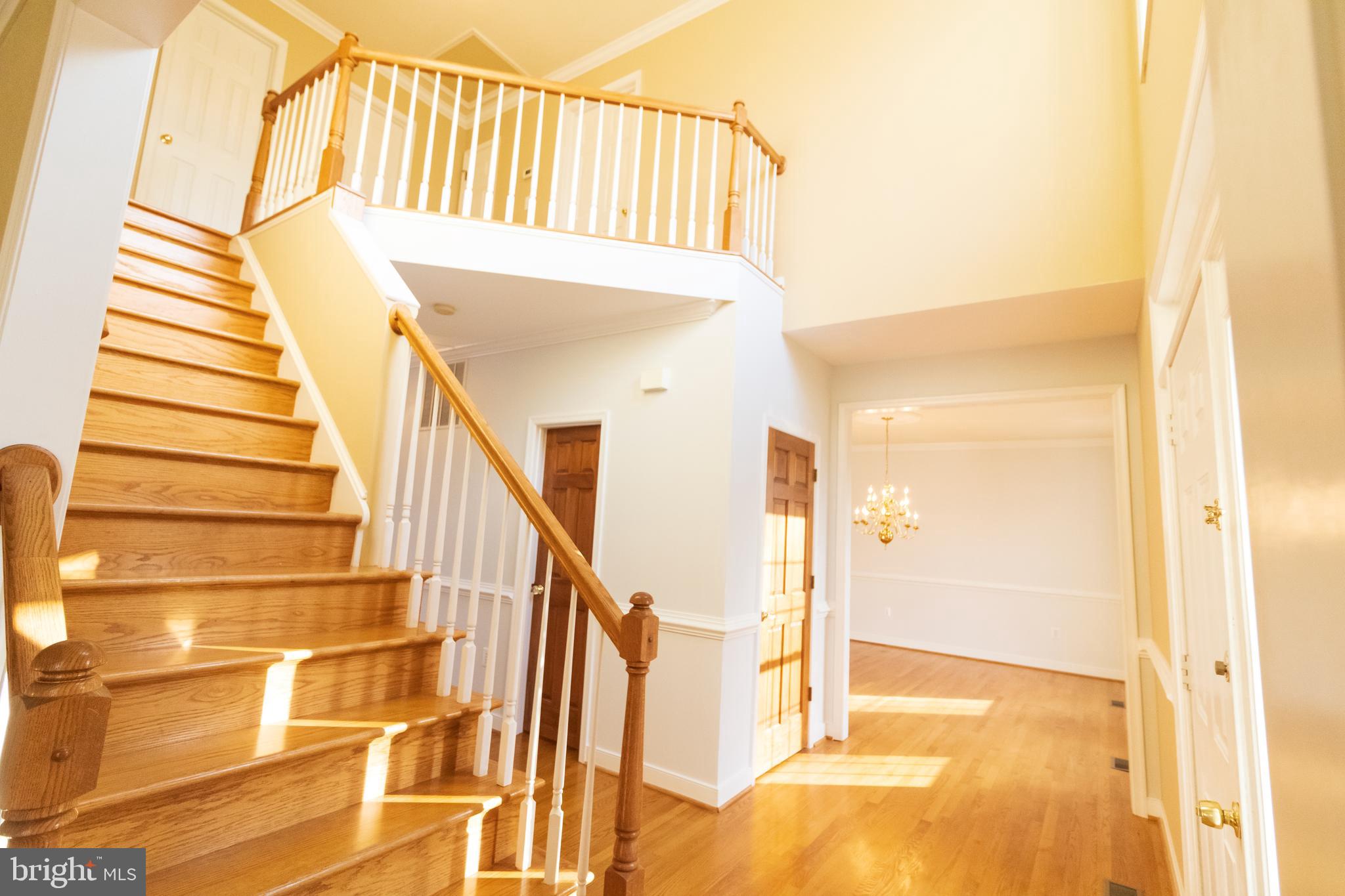 WOODBINE FOREST - Residential Lease