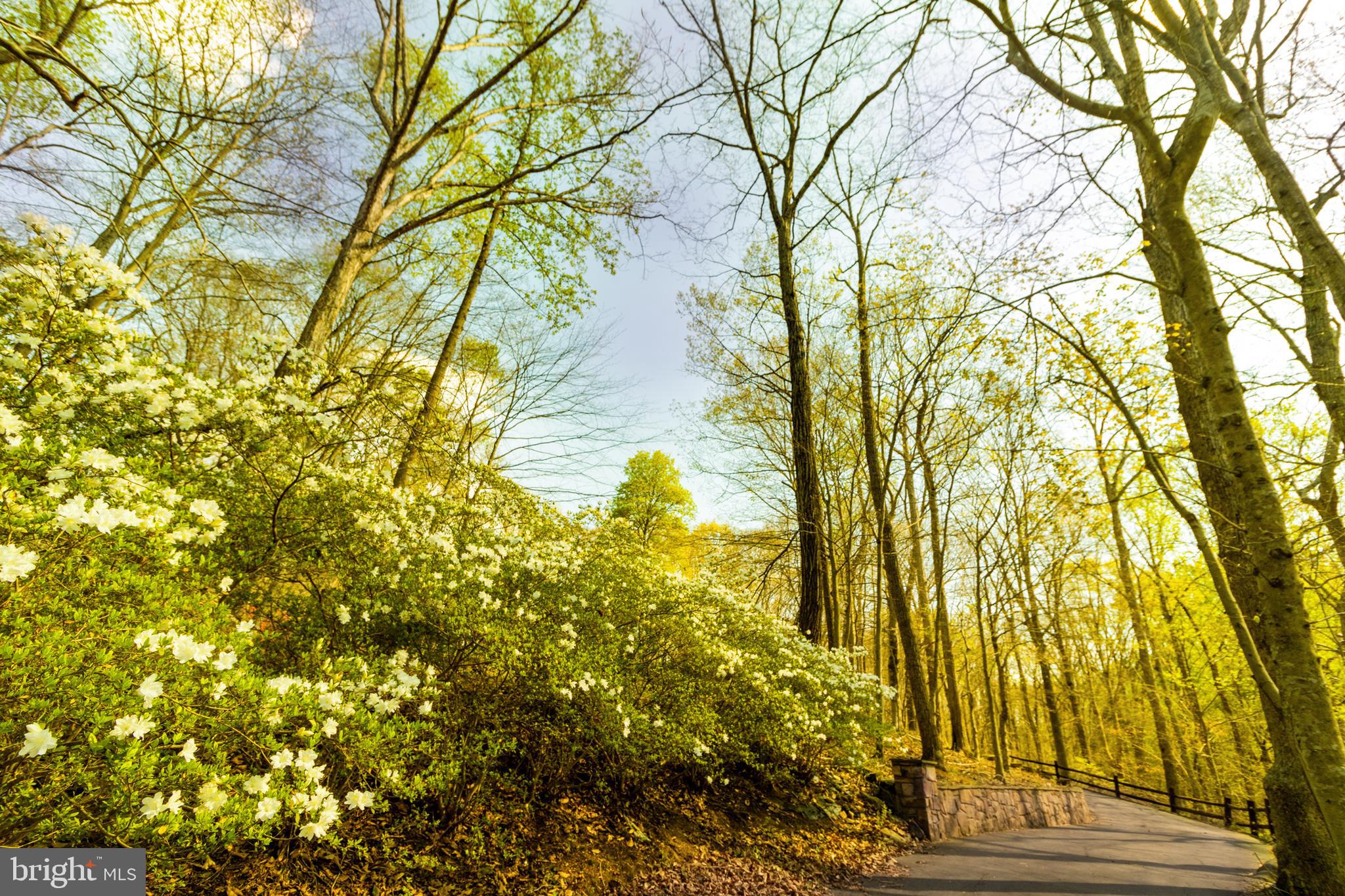 WOODBINE FOREST - Residential Lease