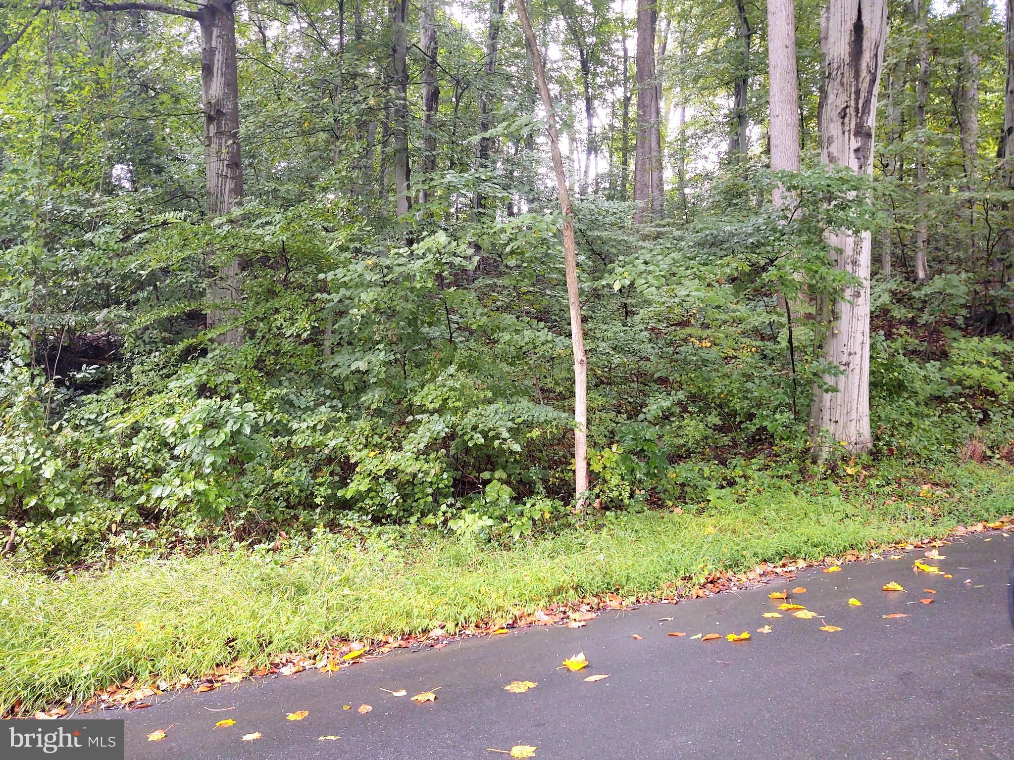 Lots 126-127 CODJUS DRIVE