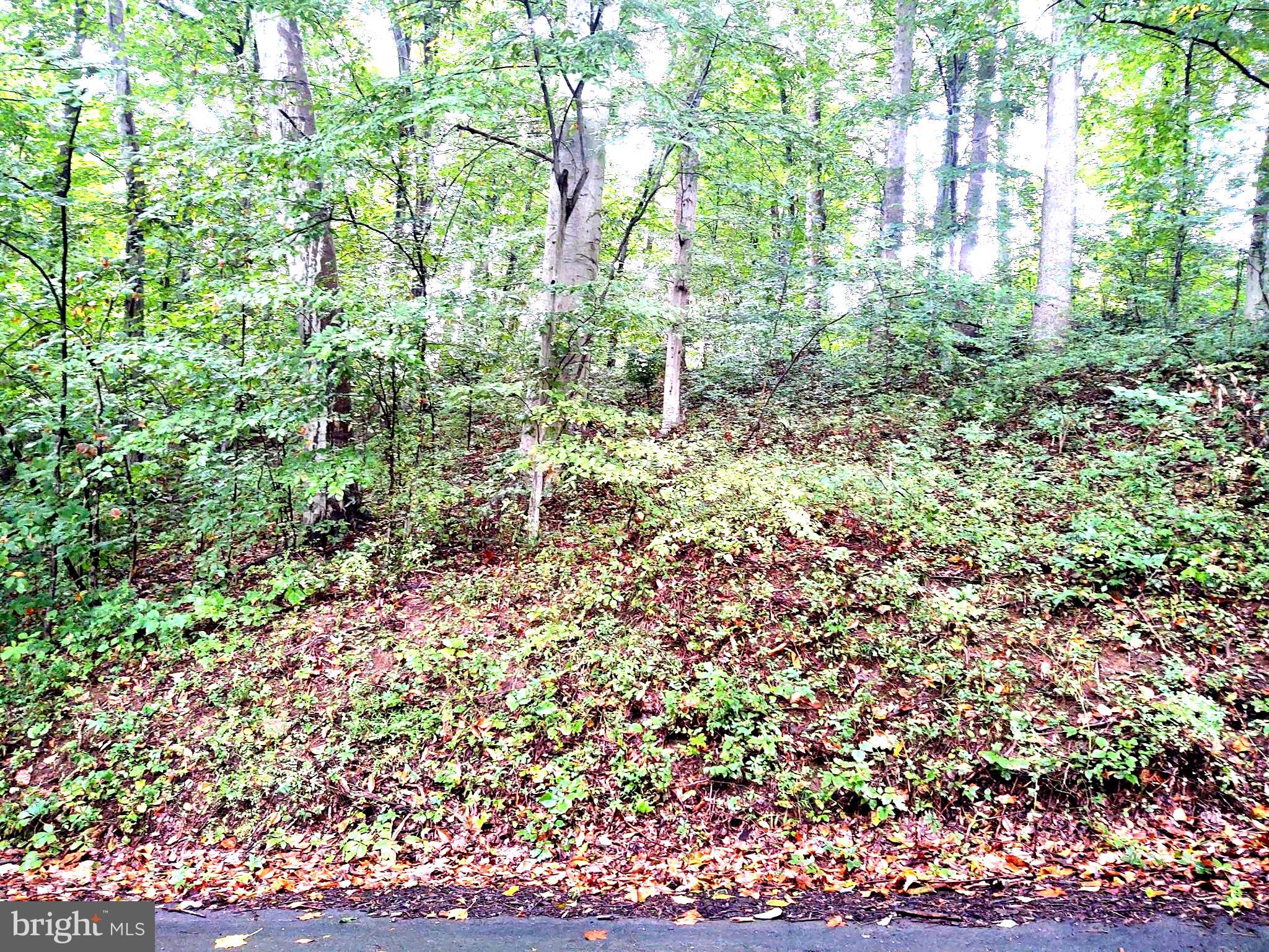 Lots 126-127 CODJUS DRIVE