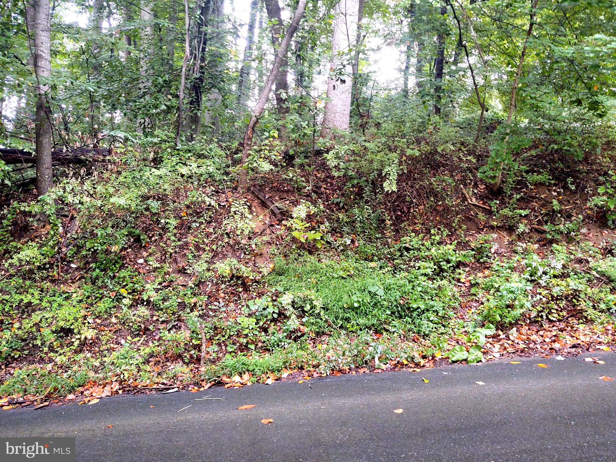 Lots 126-127 CODJUS DRIVE