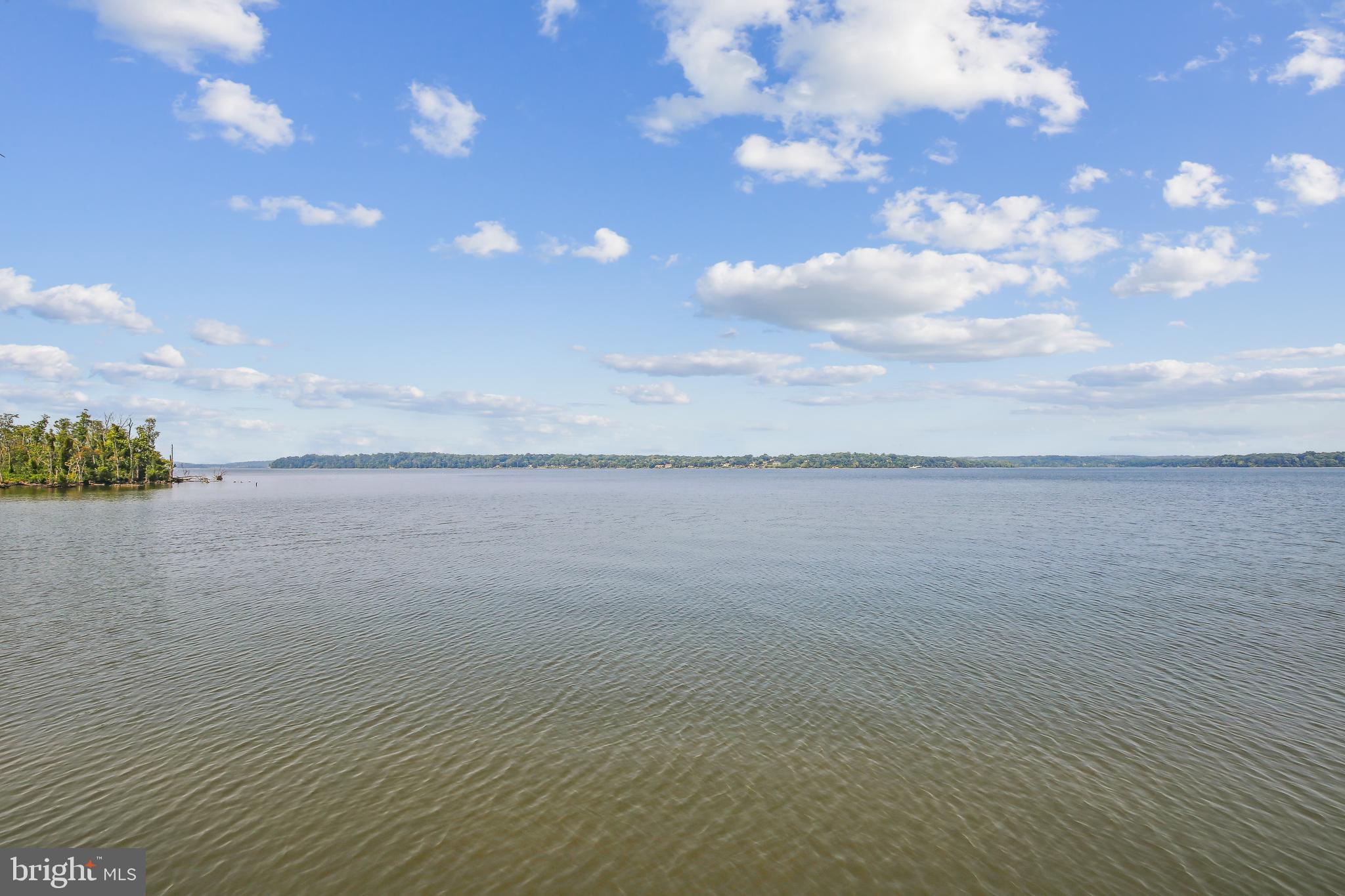 ARCTURUS ON THE POTOMAC - Residential