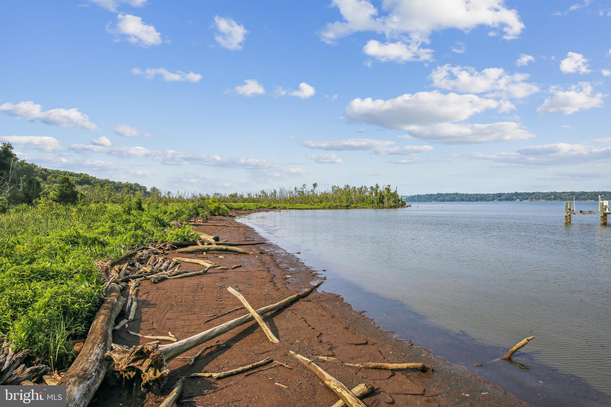 ARCTURUS ON THE POTOMAC - Residential