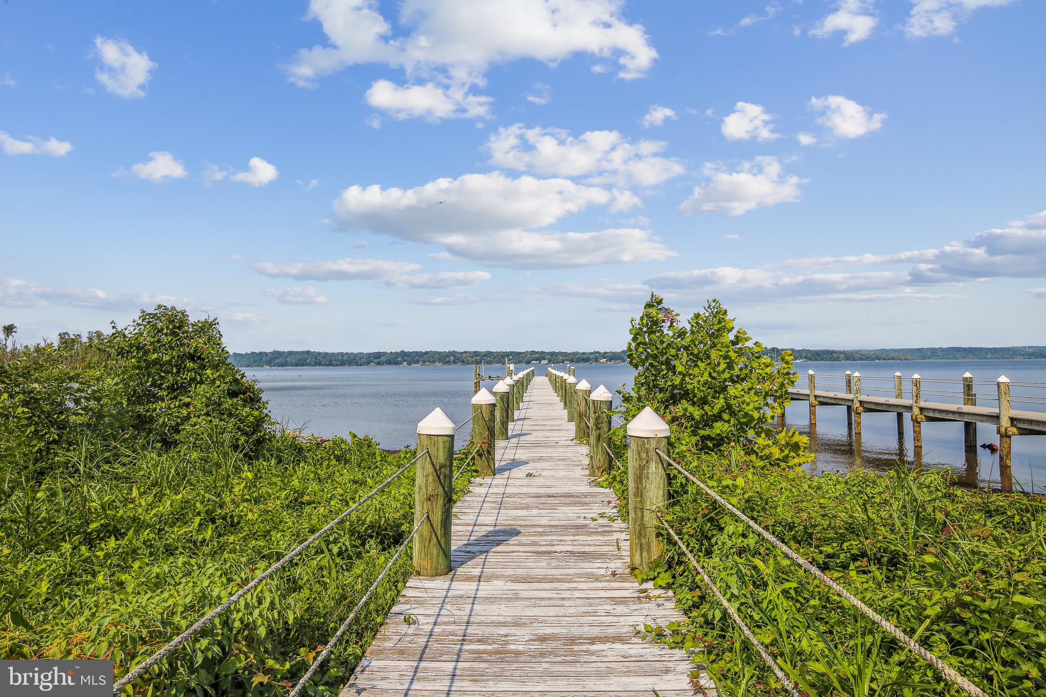 ARCTURUS ON THE POTOMAC - Residential