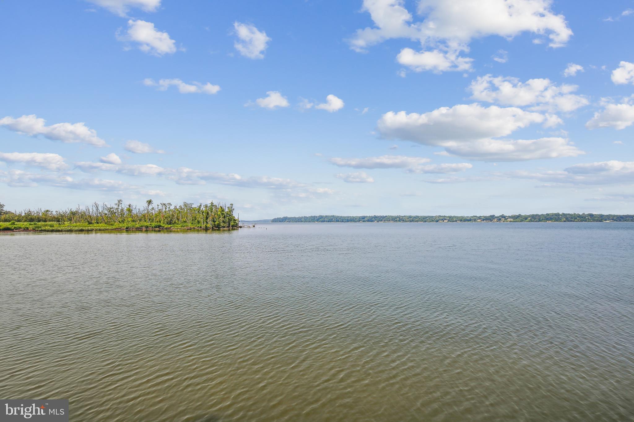 ARCTURUS ON THE POTOMAC - Residential