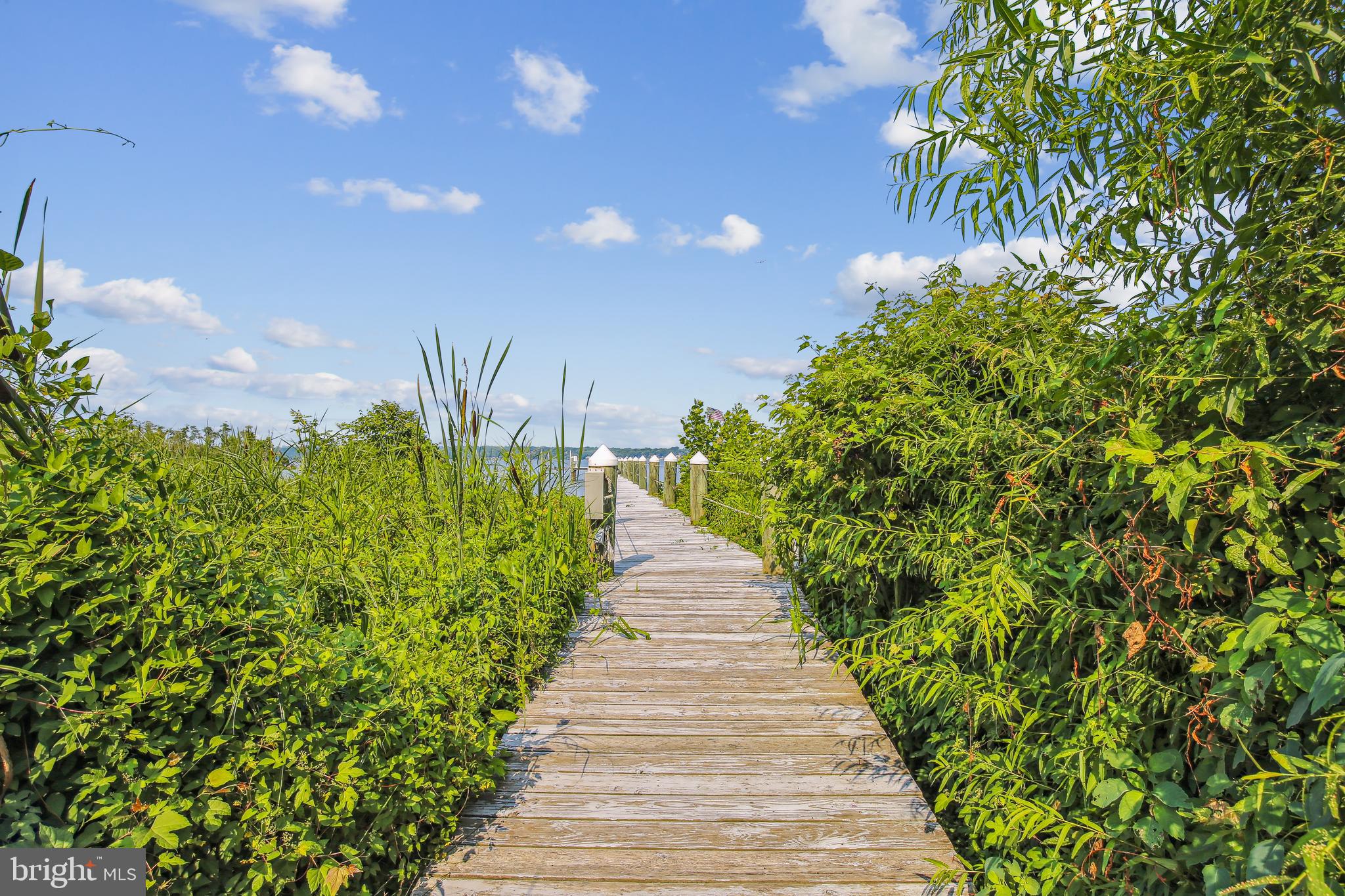 ARCTURUS ON THE POTOMAC - Residential
