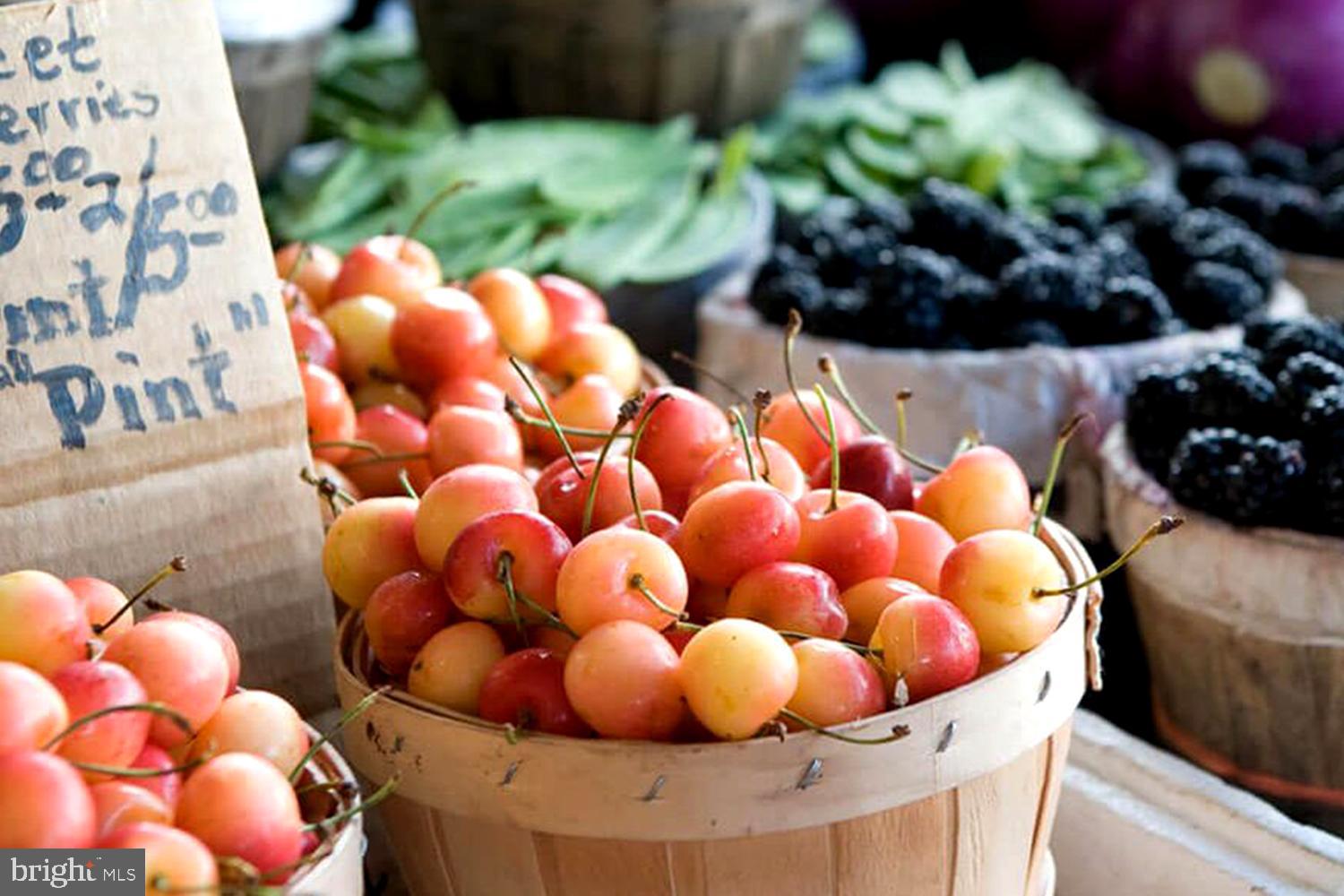 CATTAIL CROSSING - Residential