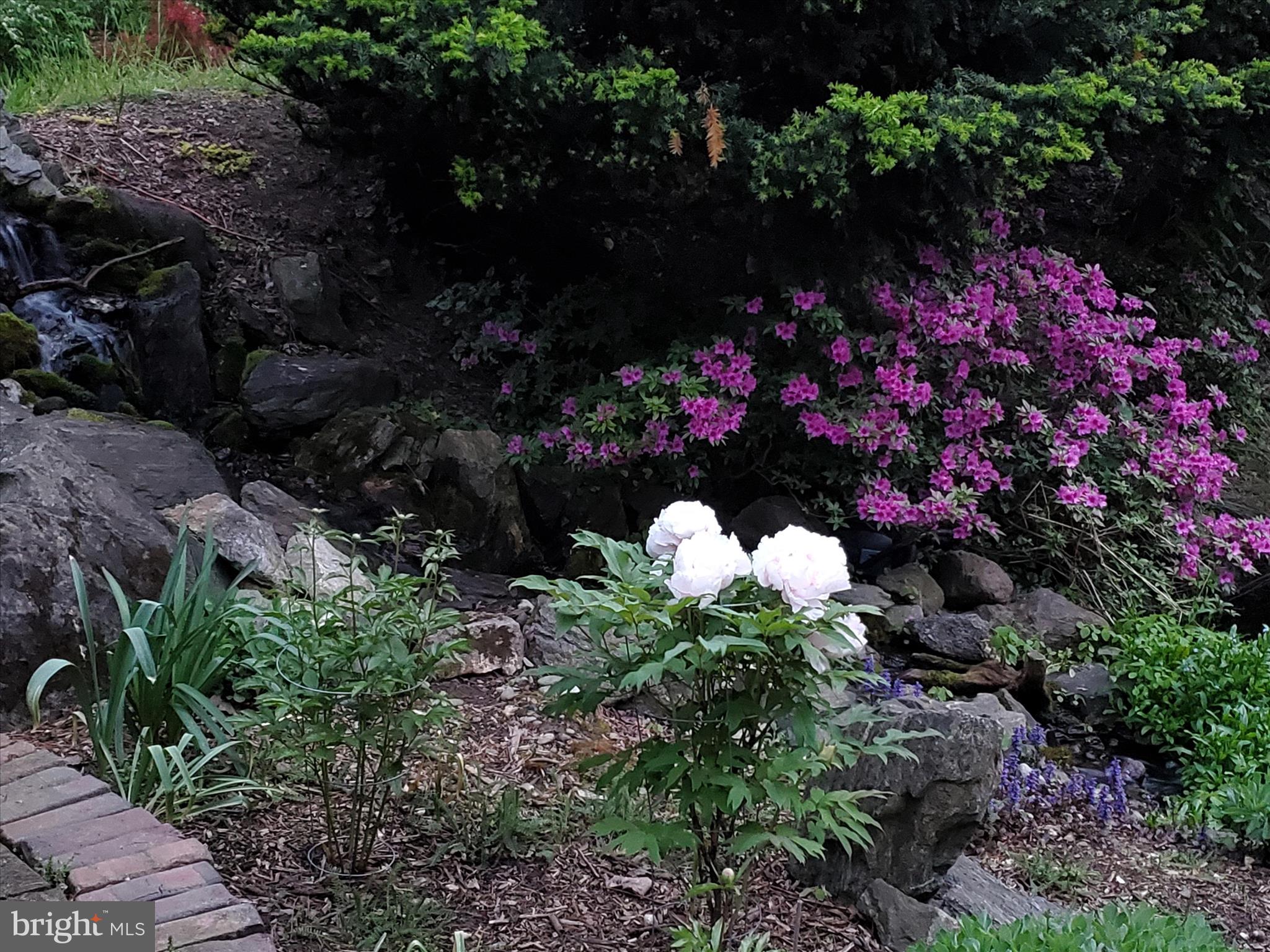 SCHOOL LANE HILLS - Residential