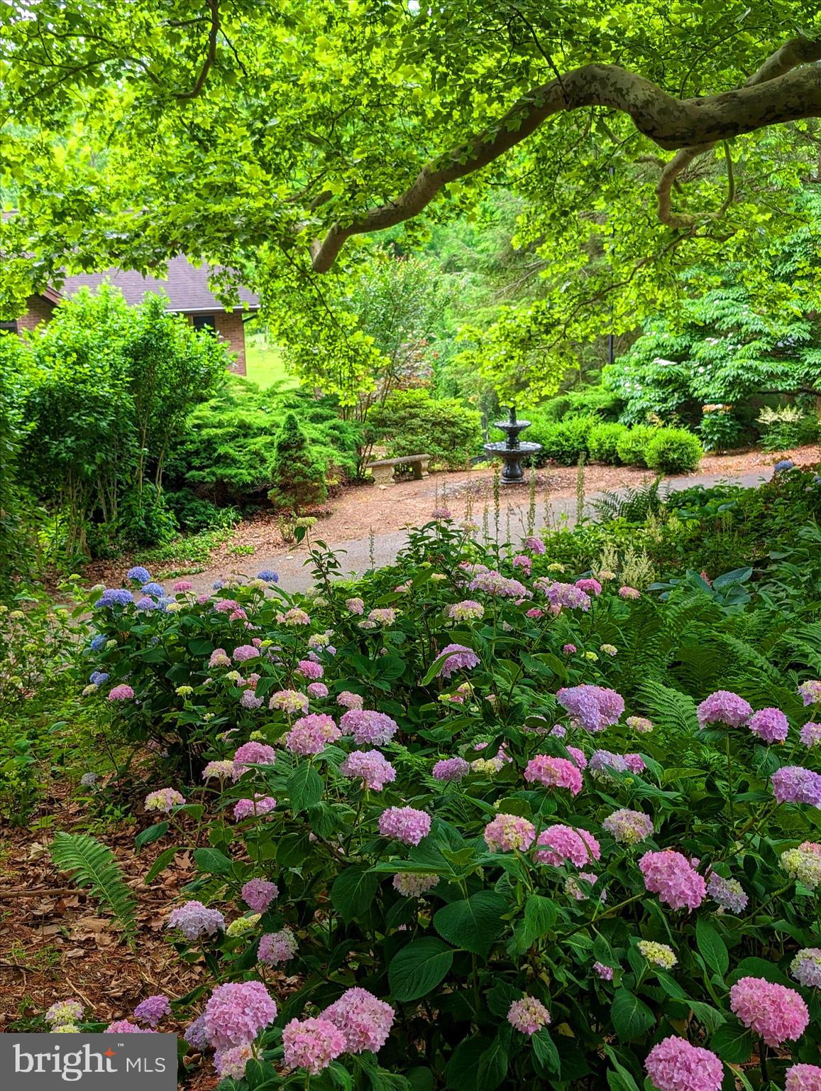 SCHOOL LANE HILLS - Residential