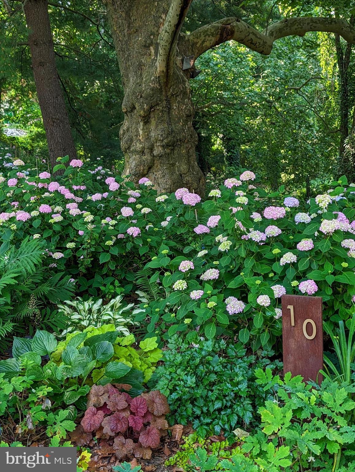 SCHOOL LANE HILLS - Residential