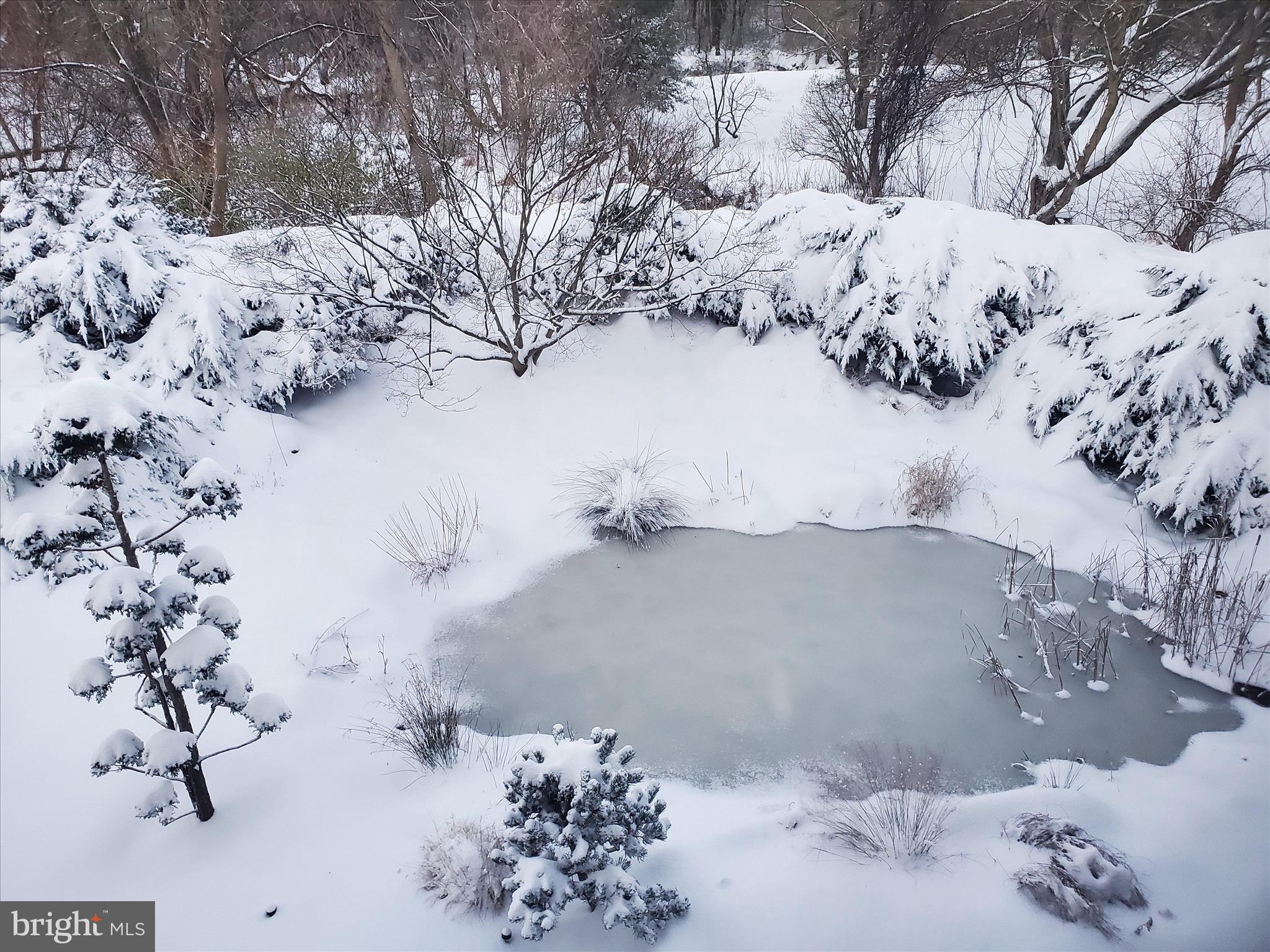 SCHOOL LANE HILLS - Residential