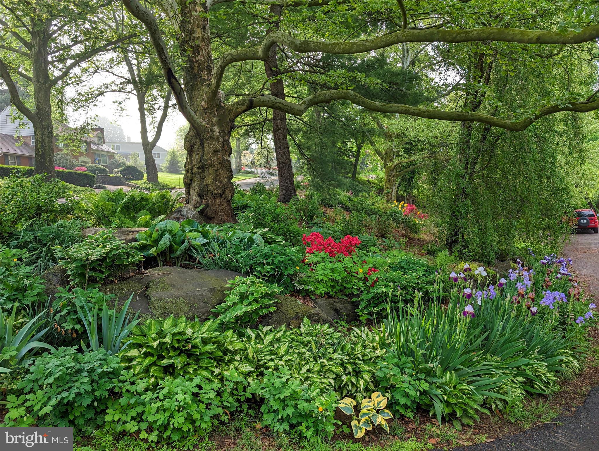 SCHOOL LANE HILLS - Residential