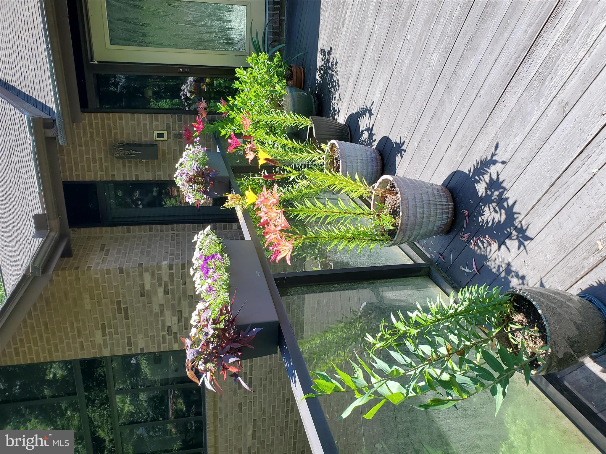 SCHOOL LANE HILLS - Residential