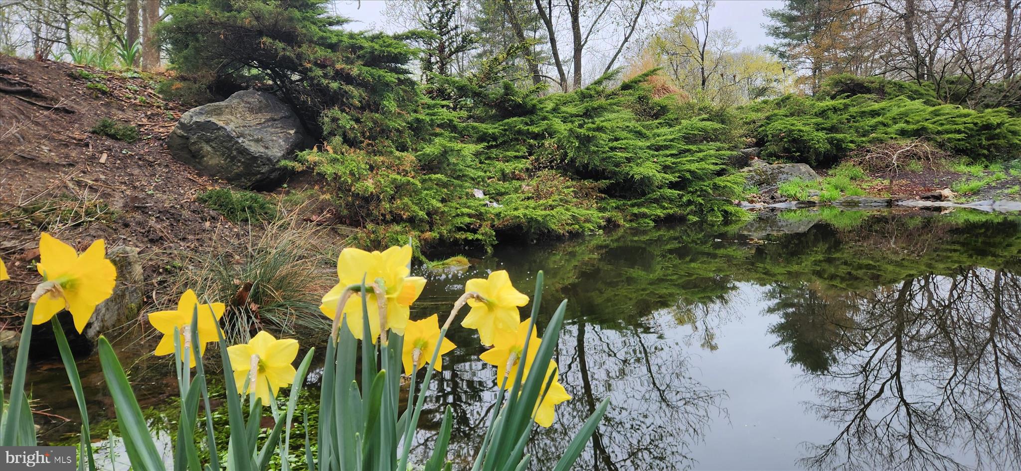 SCHOOL LANE HILLS - Residential