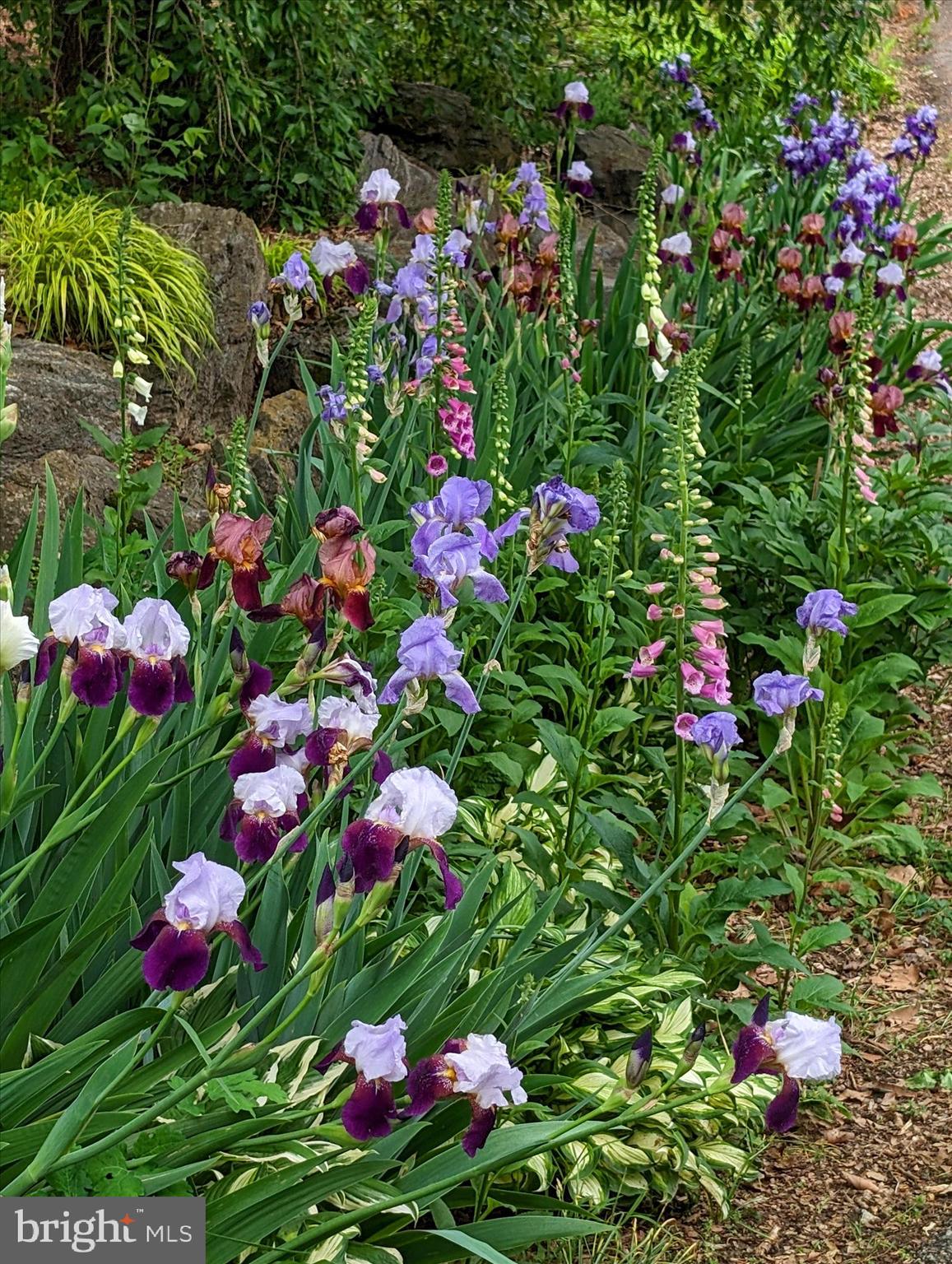 SCHOOL LANE HILLS - Residential