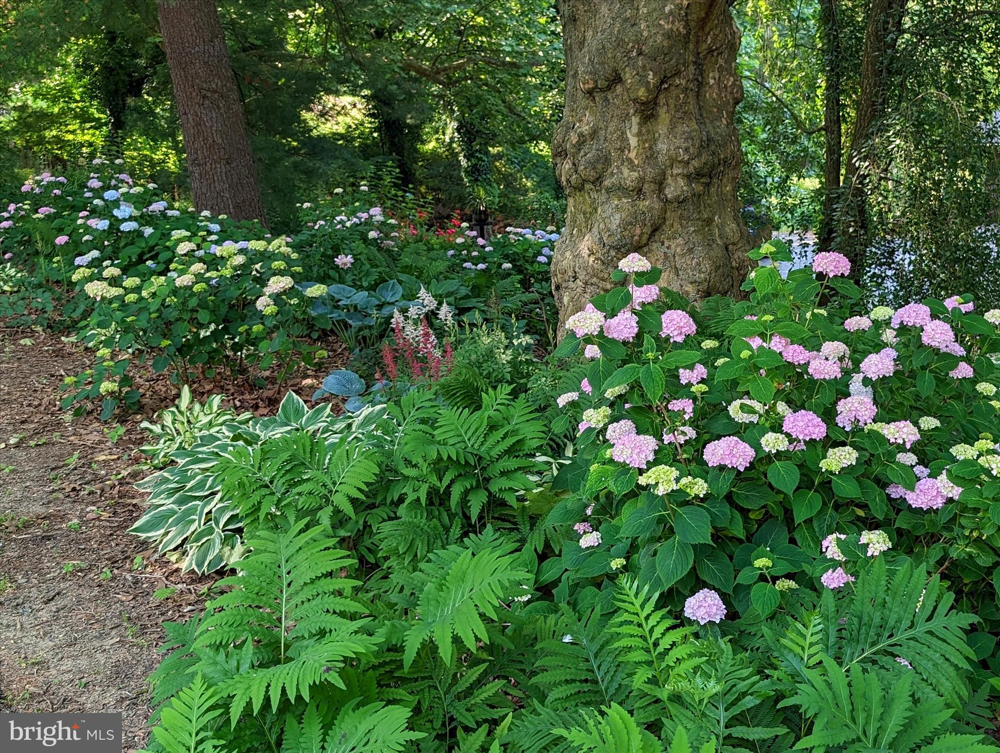 SCHOOL LANE HILLS - Residential