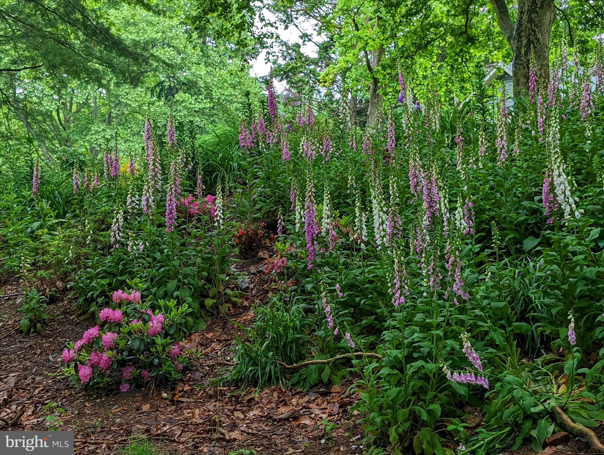 SCHOOL LANE HILLS - Residential