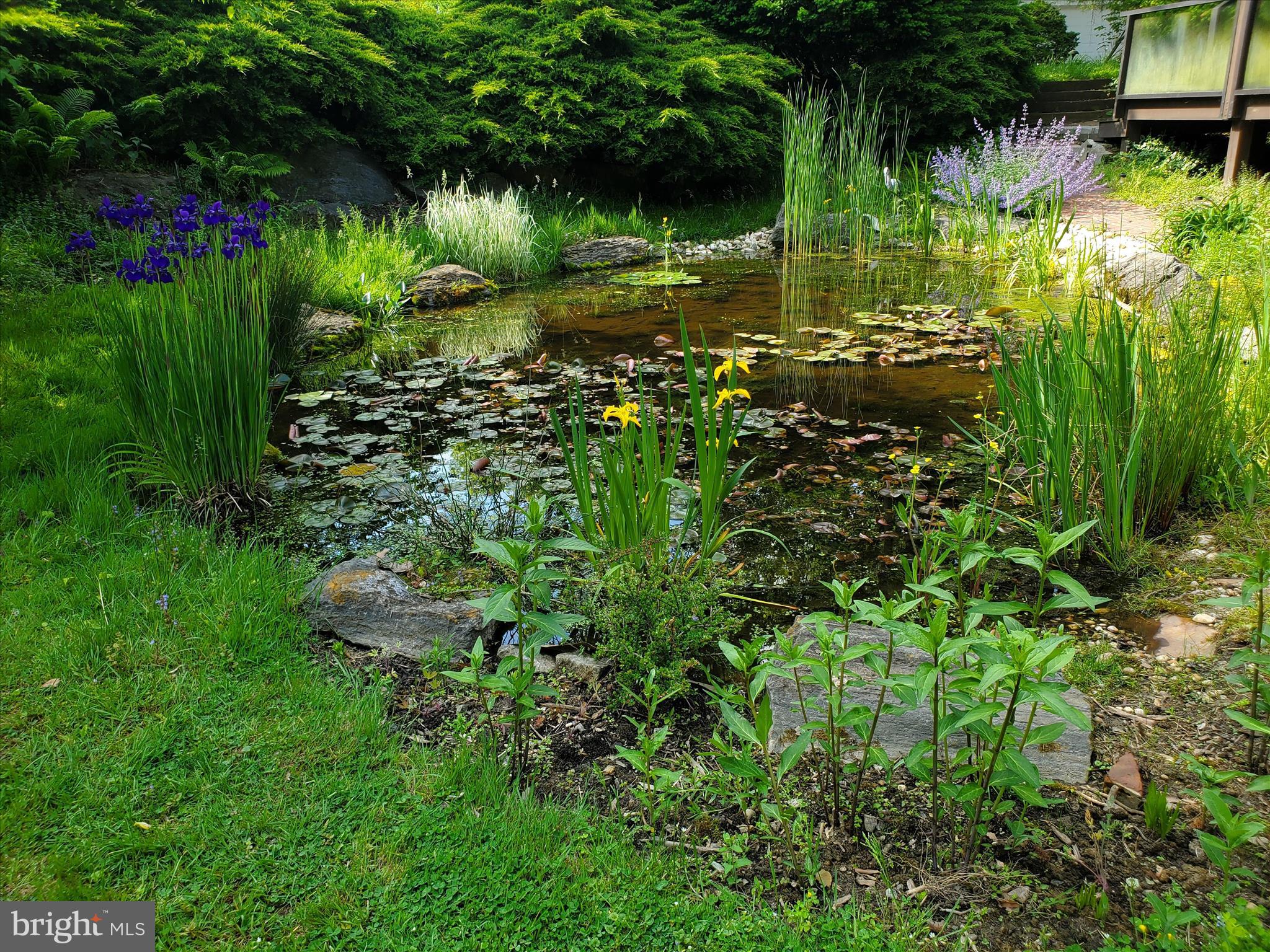 SCHOOL LANE HILLS - Residential