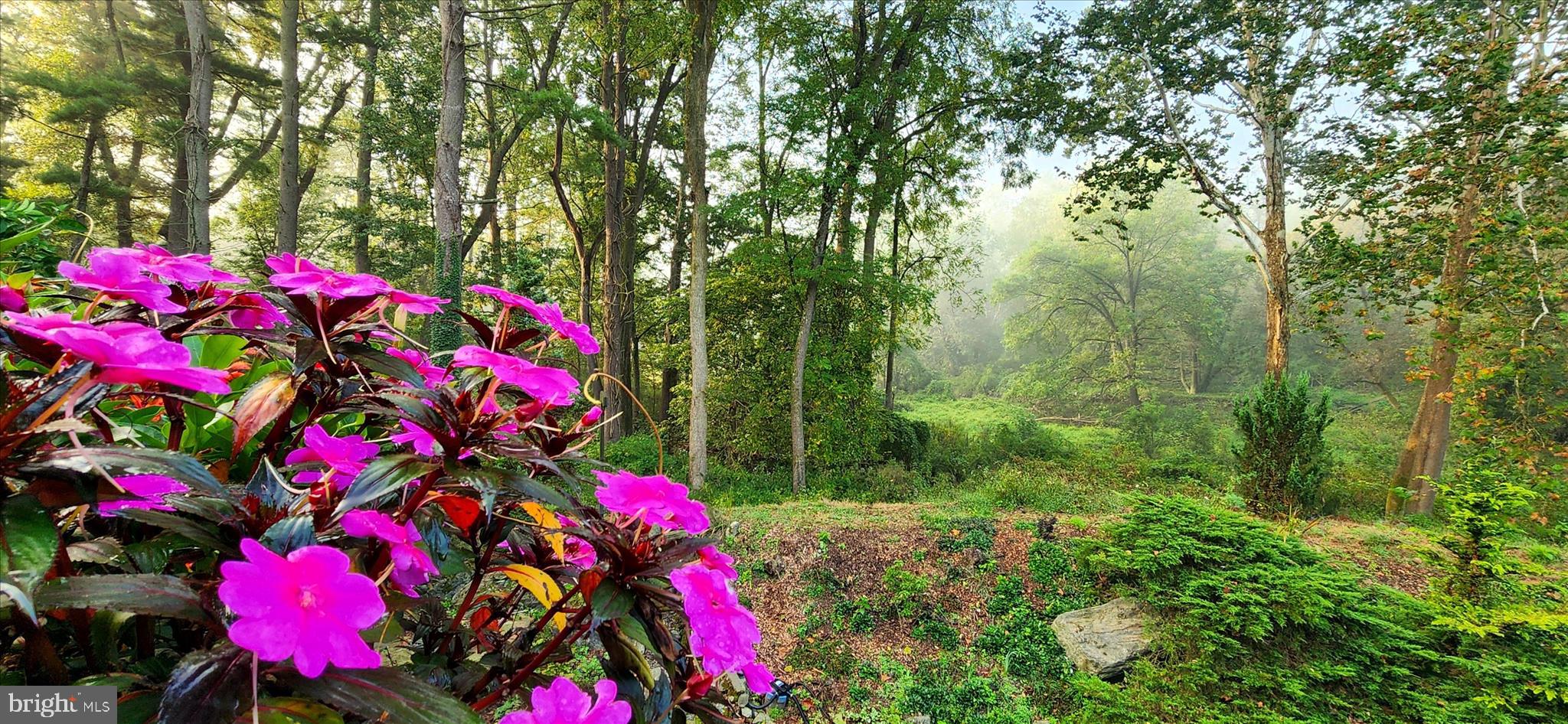 SCHOOL LANE HILLS - Residential