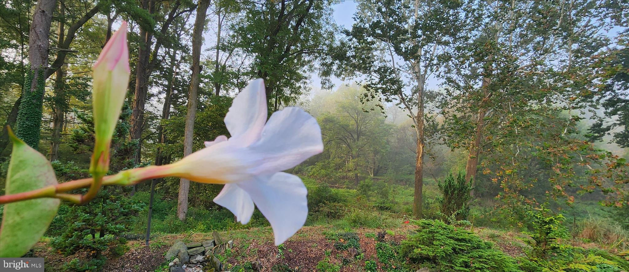 SCHOOL LANE HILLS - Residential