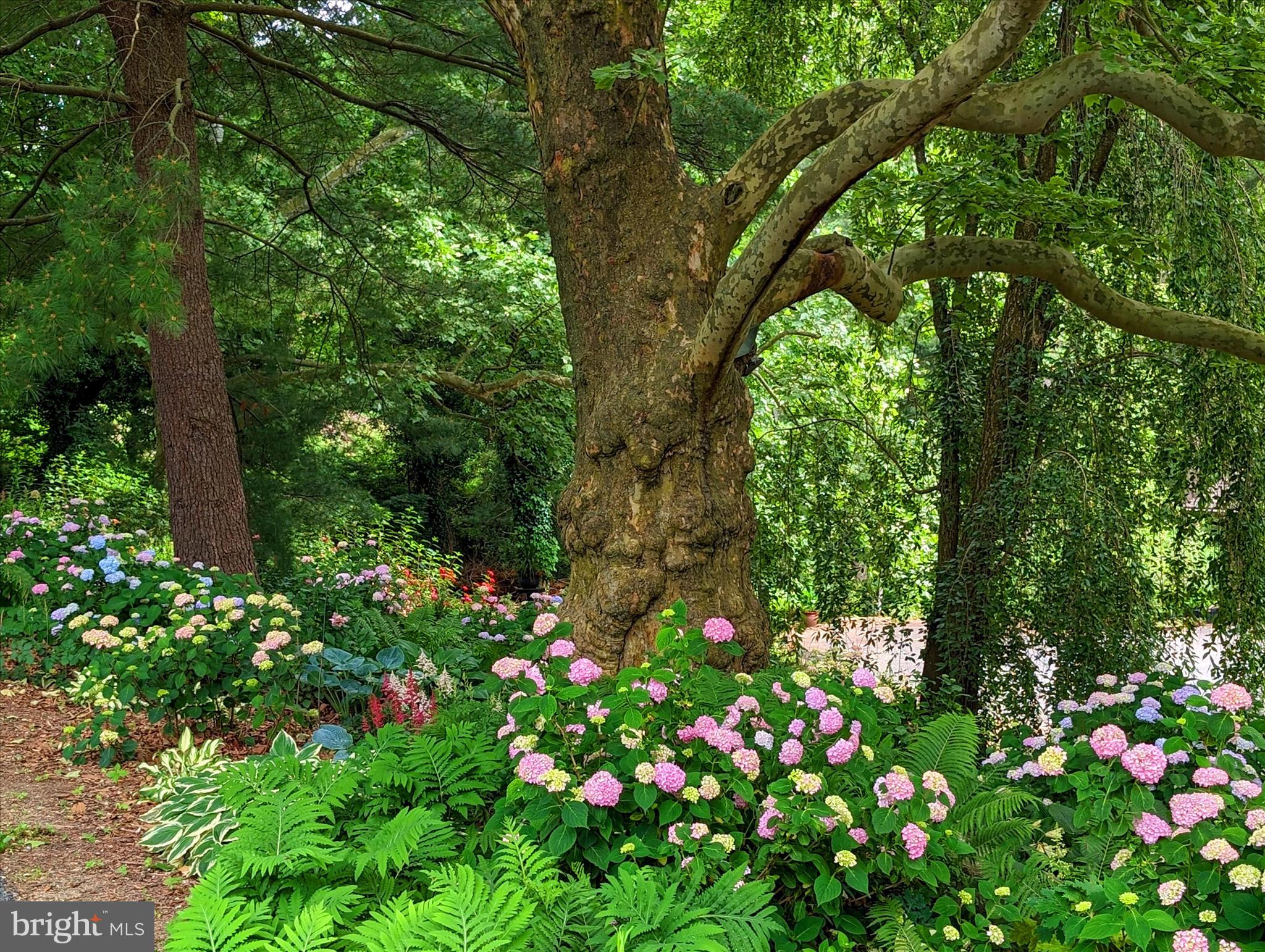 SCHOOL LANE HILLS - Residential