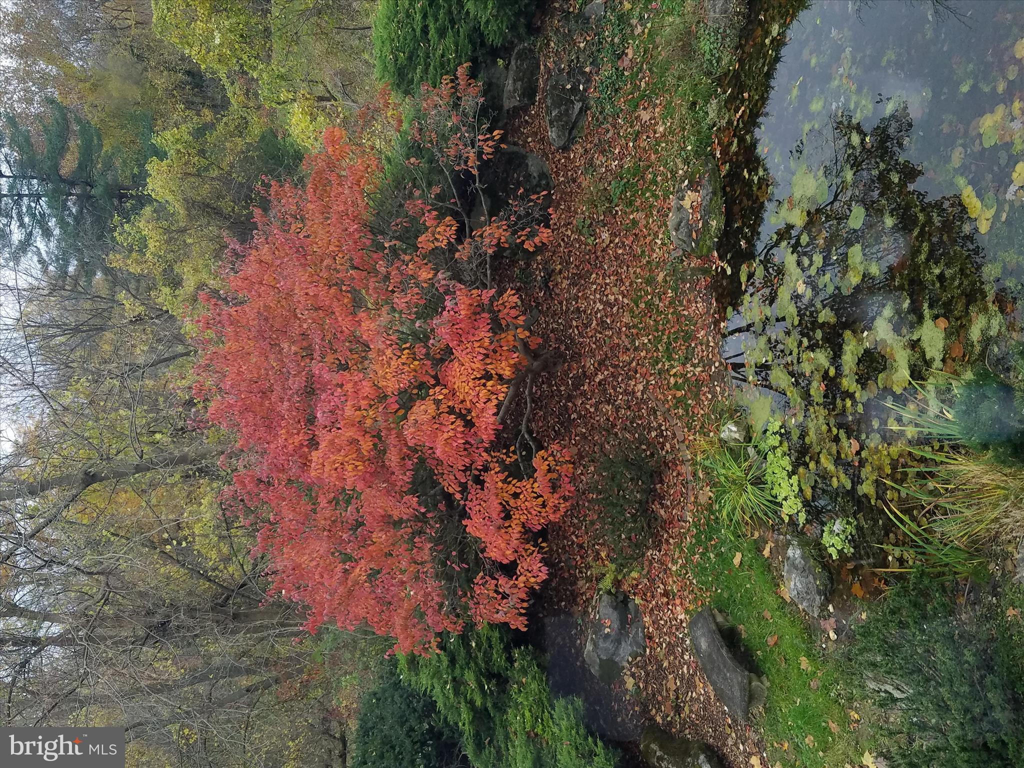 SCHOOL LANE HILLS - Residential