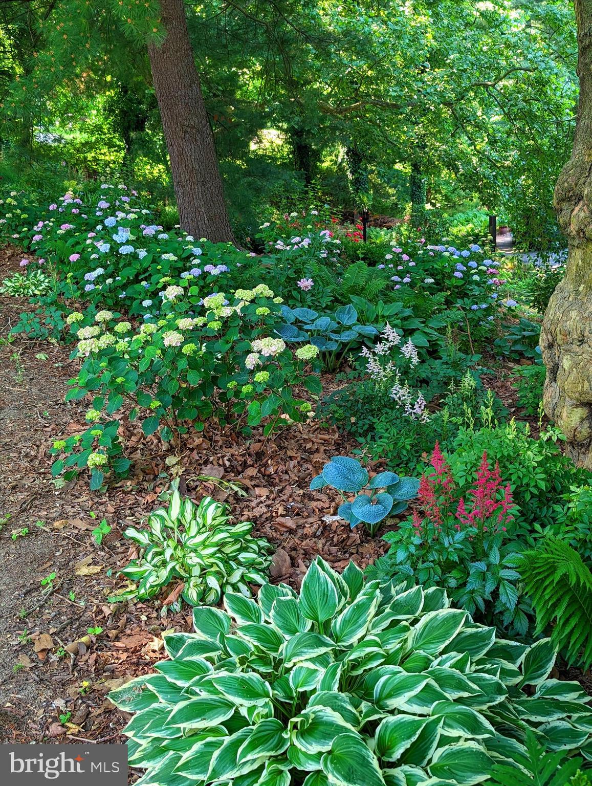 SCHOOL LANE HILLS - Residential