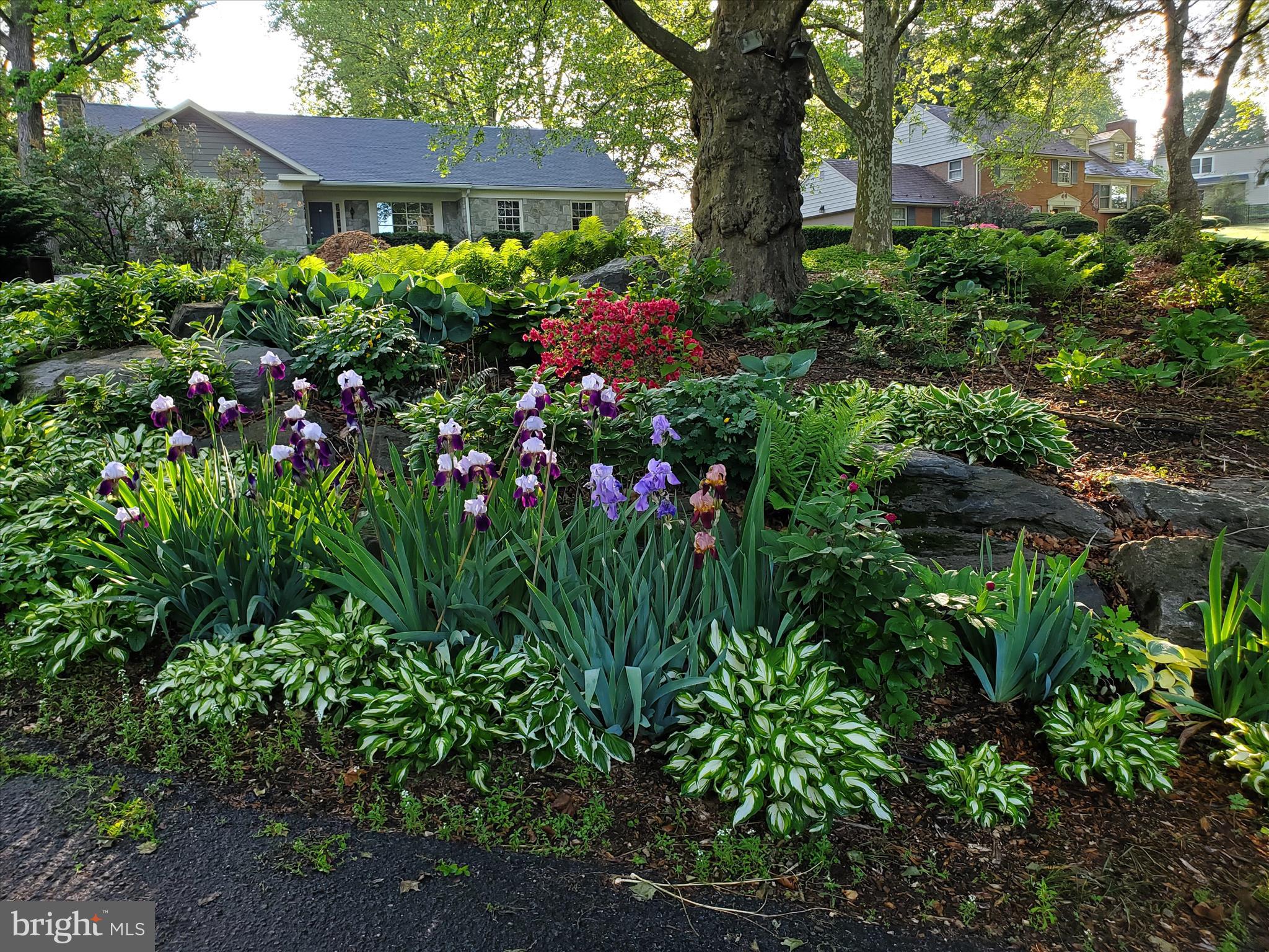 SCHOOL LANE HILLS - Residential