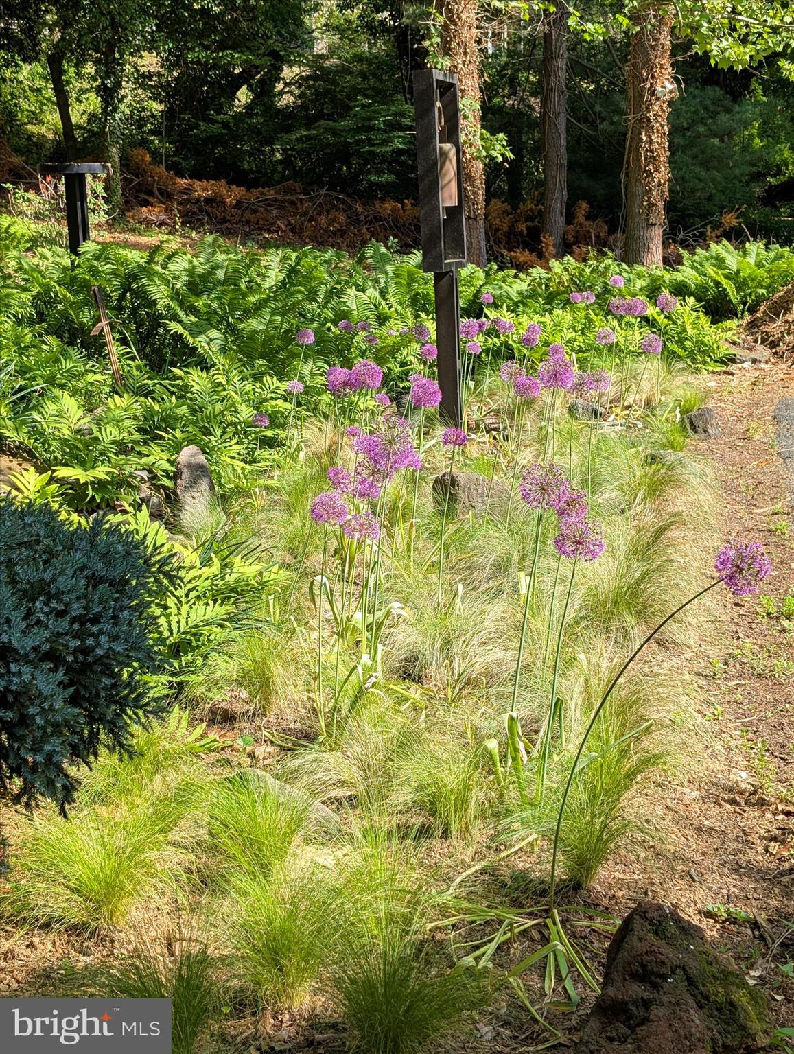 SCHOOL LANE HILLS - Residential