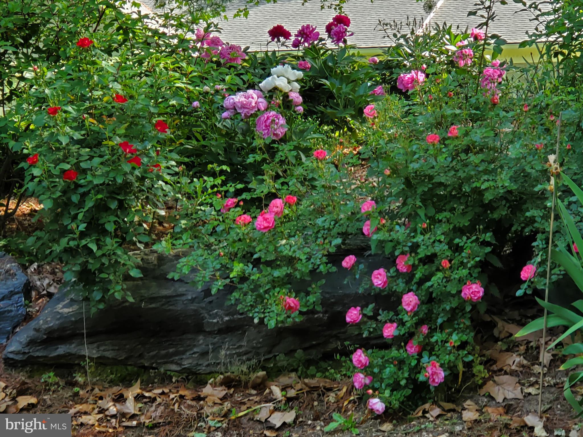 SCHOOL LANE HILLS - Residential