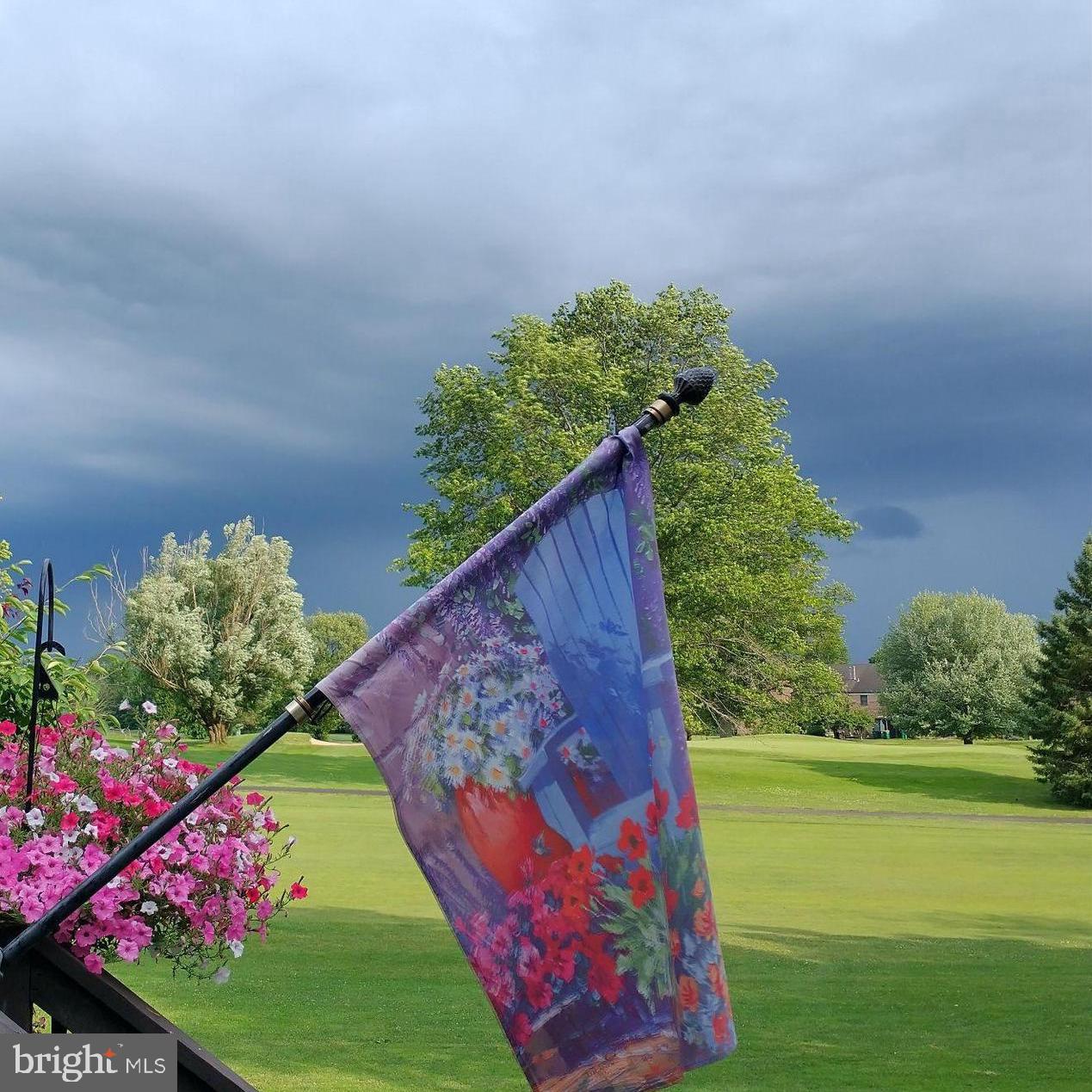 THE LINKS AT SPRIN - Residential