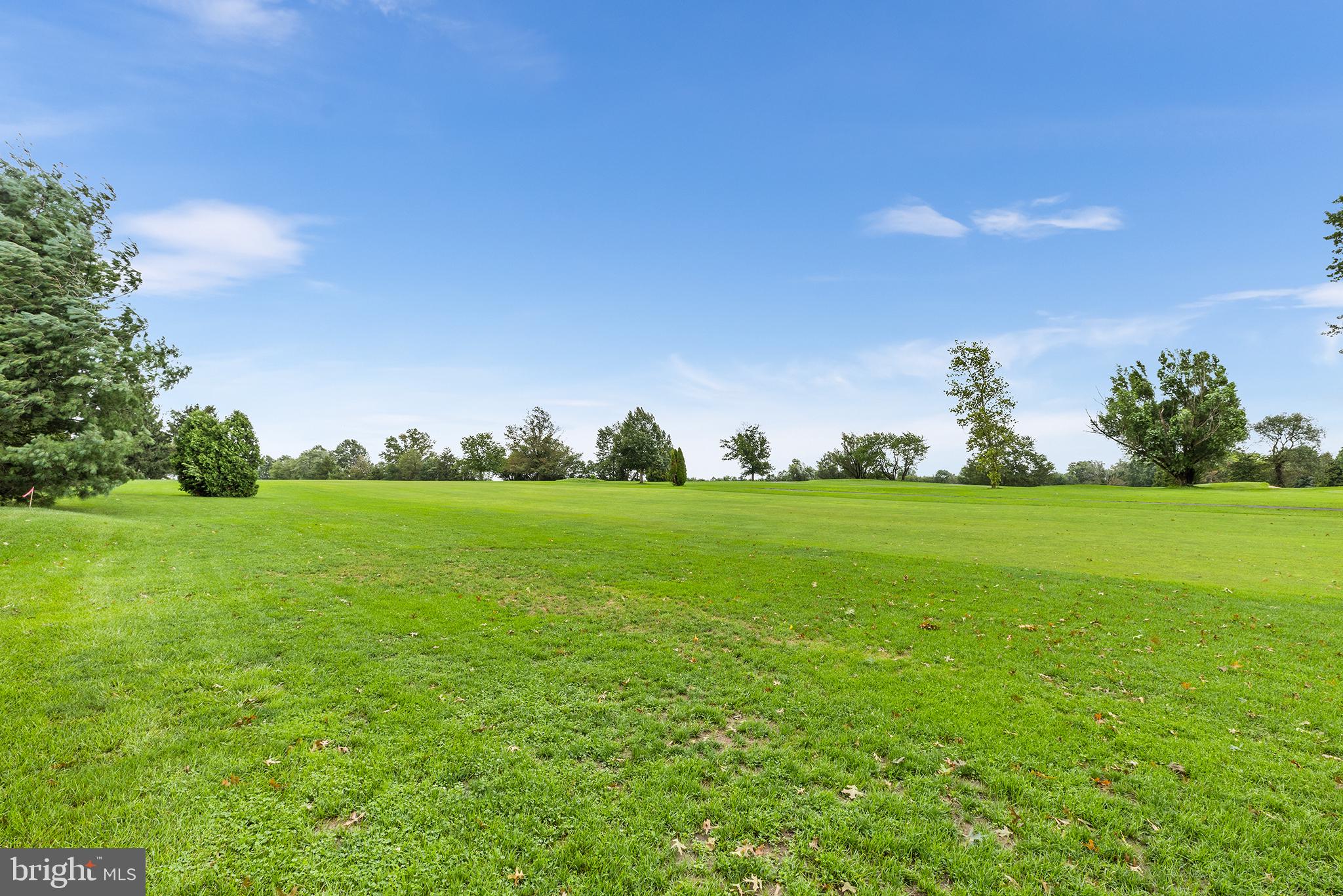 THE LINKS AT SPRIN - Residential