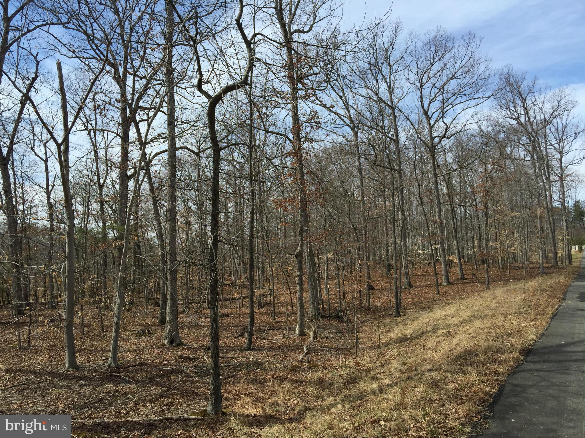 JERRY CAROTHERS PROPERTY - Land