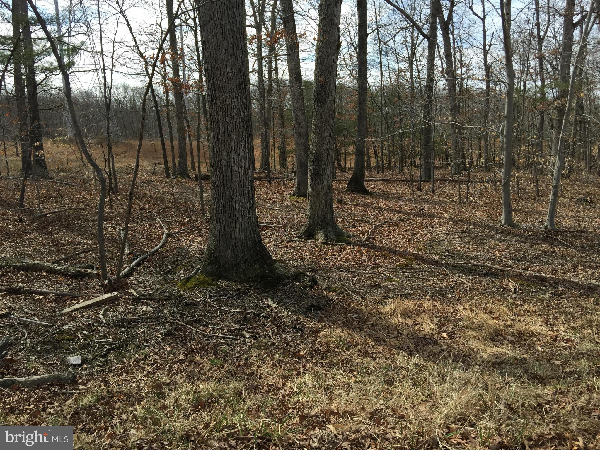 JERRY CAROTHERS PROPERTY - Land