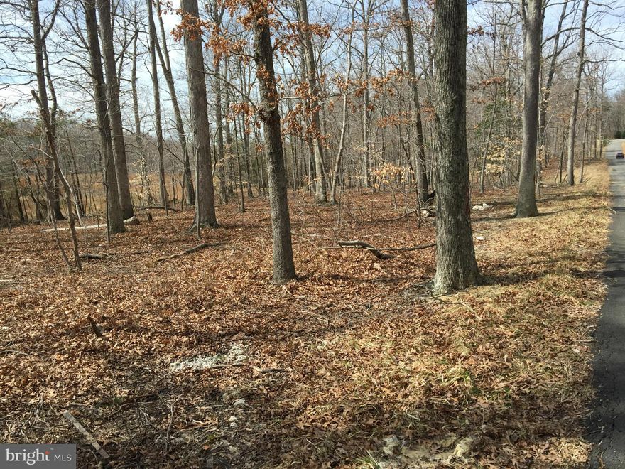 Great price and great location for this rare find 5+ acre lot in Fairfax Station, very conveniently located at the end of a subdivision just off Route 123.  Approved perc for a 5 bedroom house. No HOA.  The list price is well below tax assessed value. Buy the lot and build your dream house!