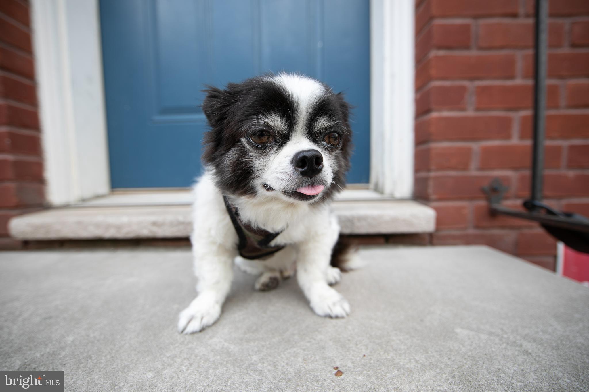 FRANCISVILLE - Residential