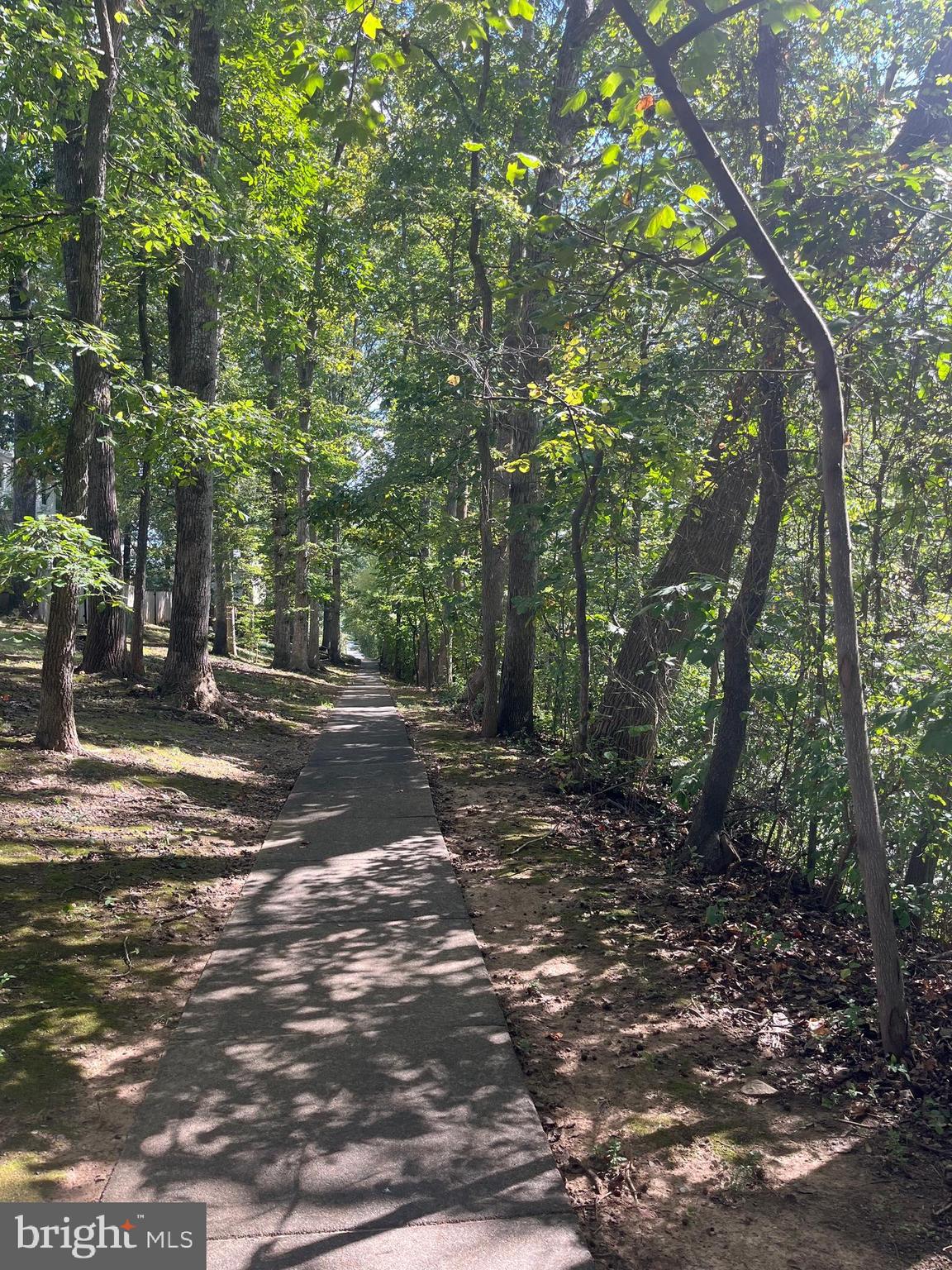 CARDINAL SQUARE - Residential