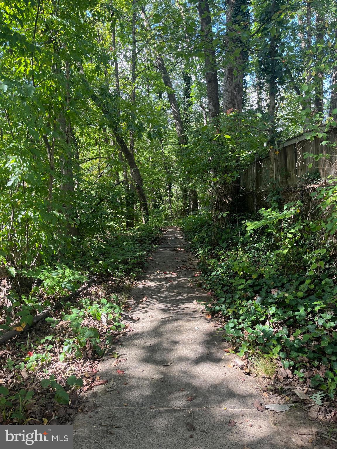 CARDINAL SQUARE - Residential